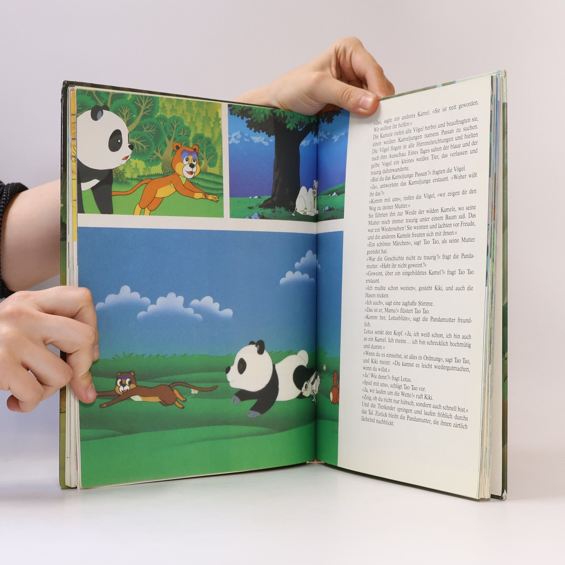 Taotao, der kleine Pandabär