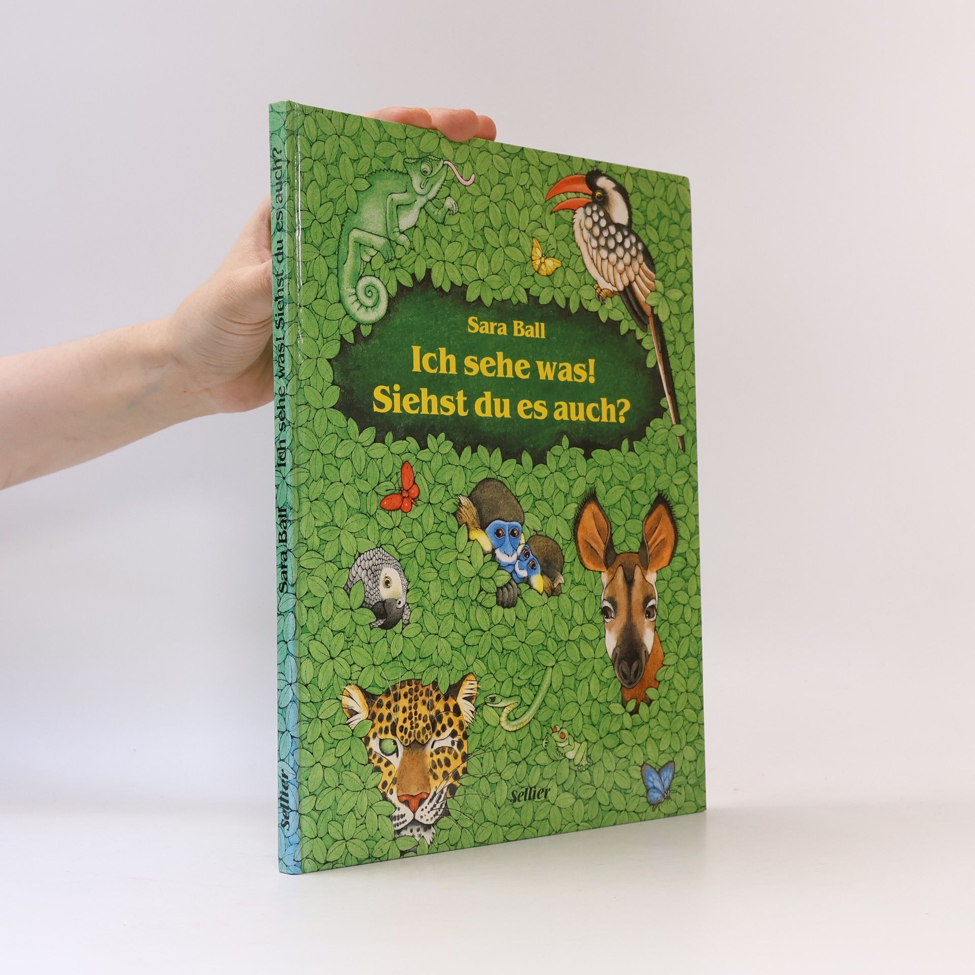 Sara Ball Ich sehe was. Siehst du es auch?. Ein Rätselbilderbuch.
