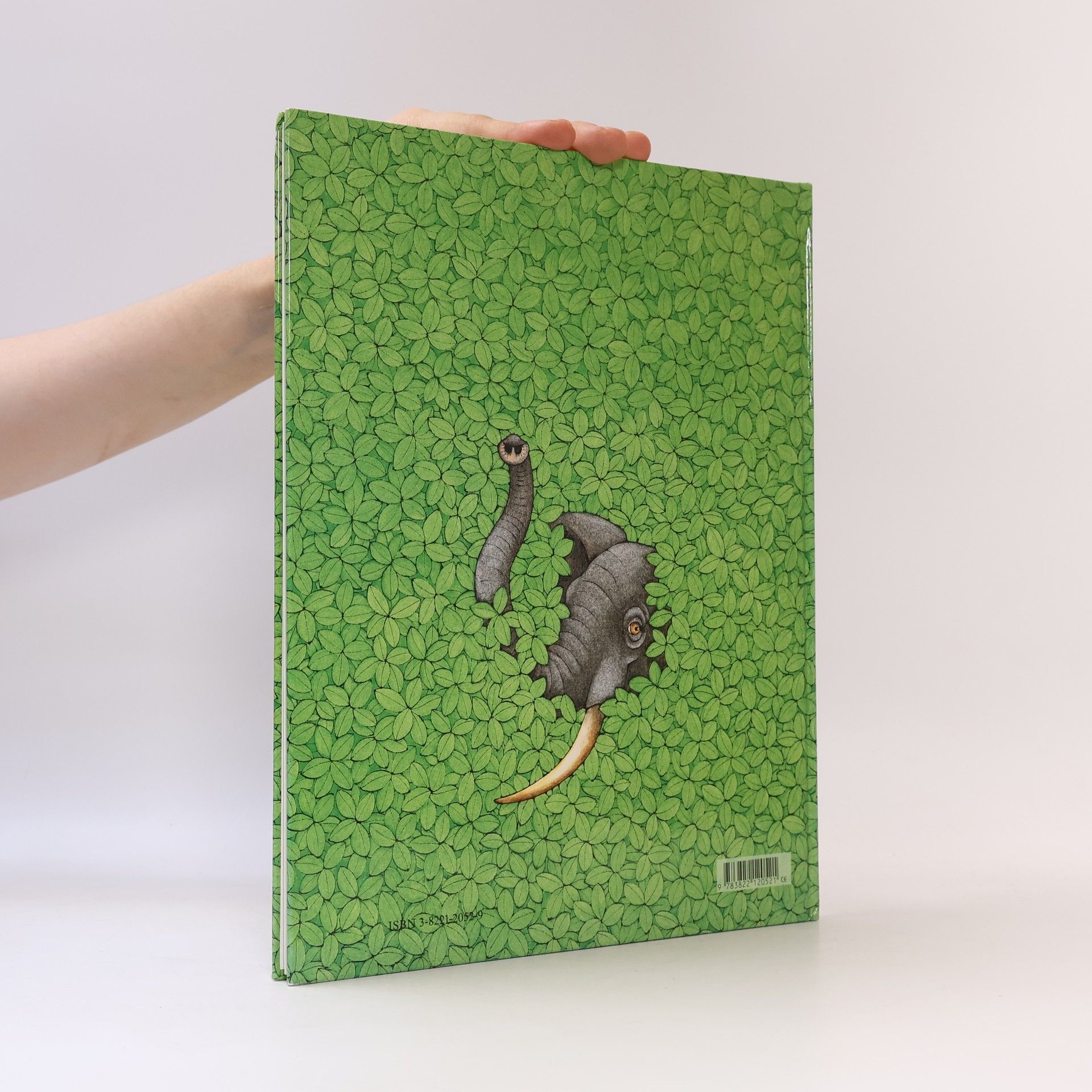 Sara Ball Ich sehe was. Siehst du es auch?. Ein Rätselbilderbuch.