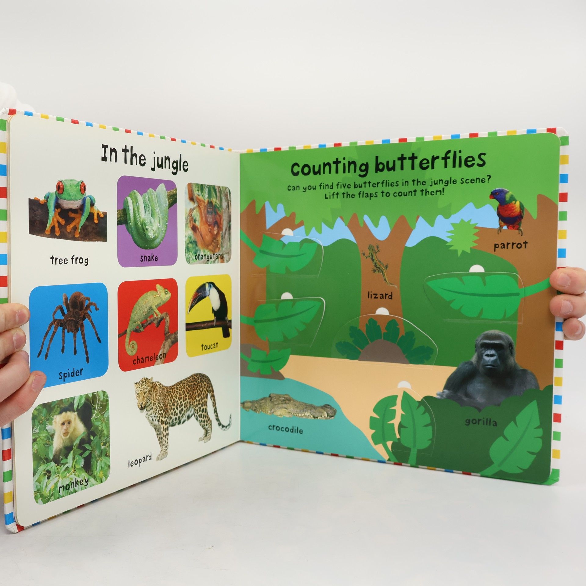 Roger Priddy First 100 Animals Lift-the-Flap