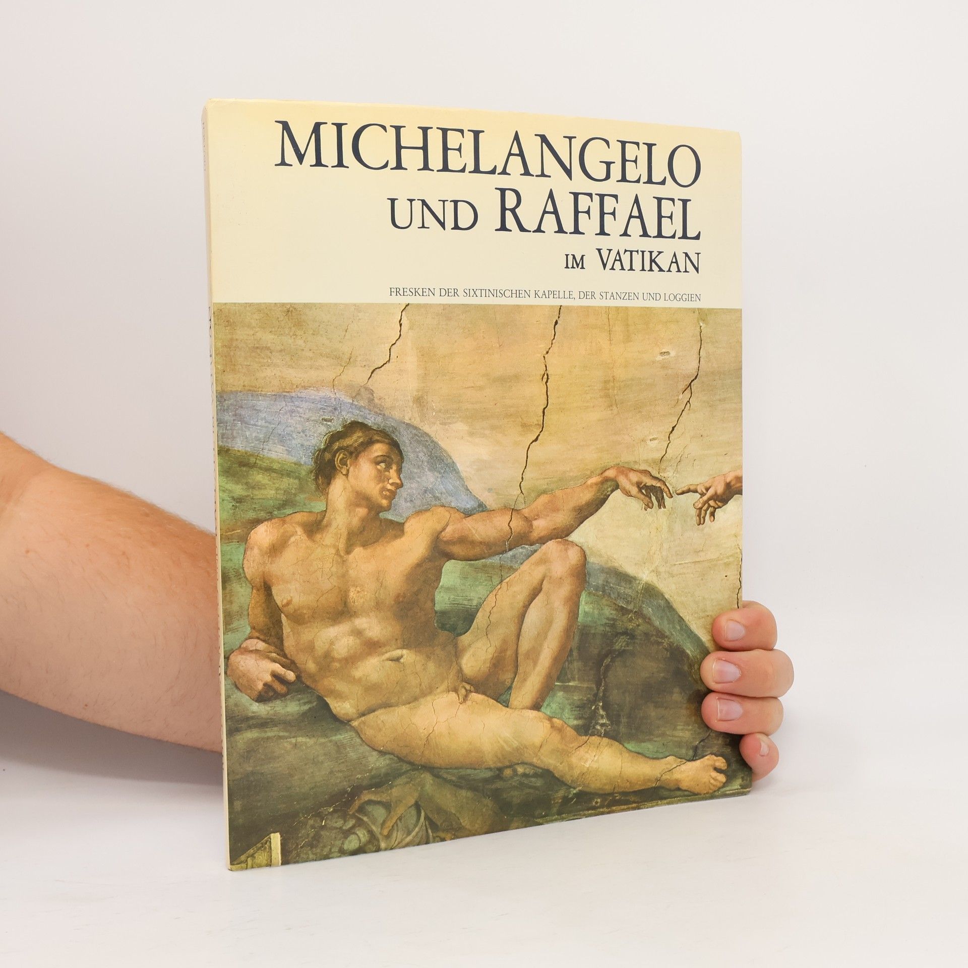 Antonio Paolucci Michelangelo und Raffael Im Vatikan