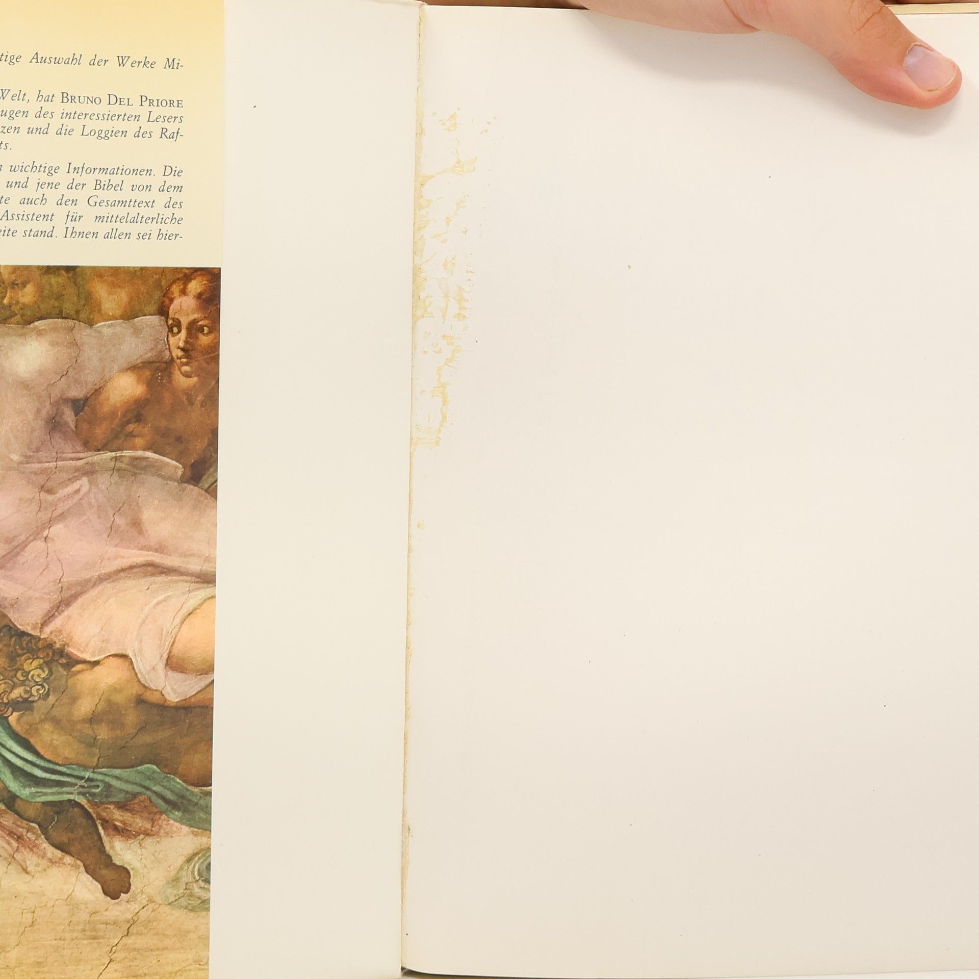 Autorenkollektiv Michelangelo und Raffael Im Vatikan