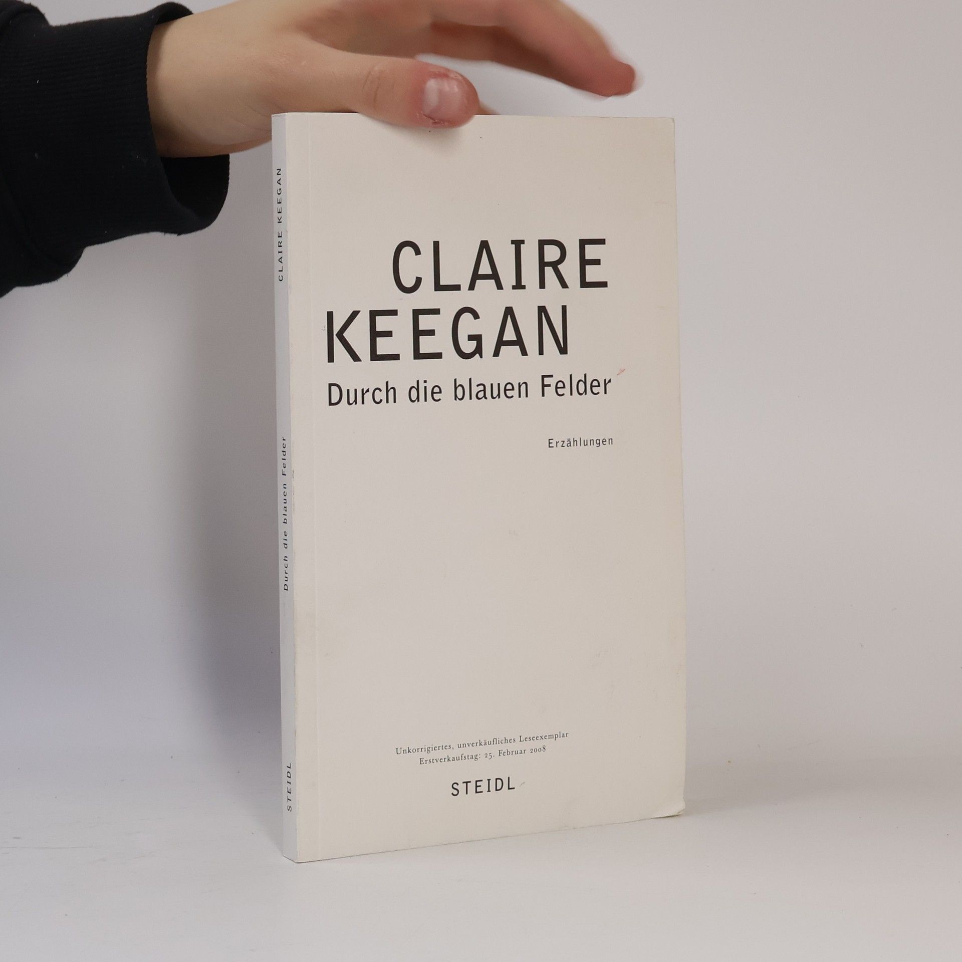 Claire Keegan Durch die blauen Felder