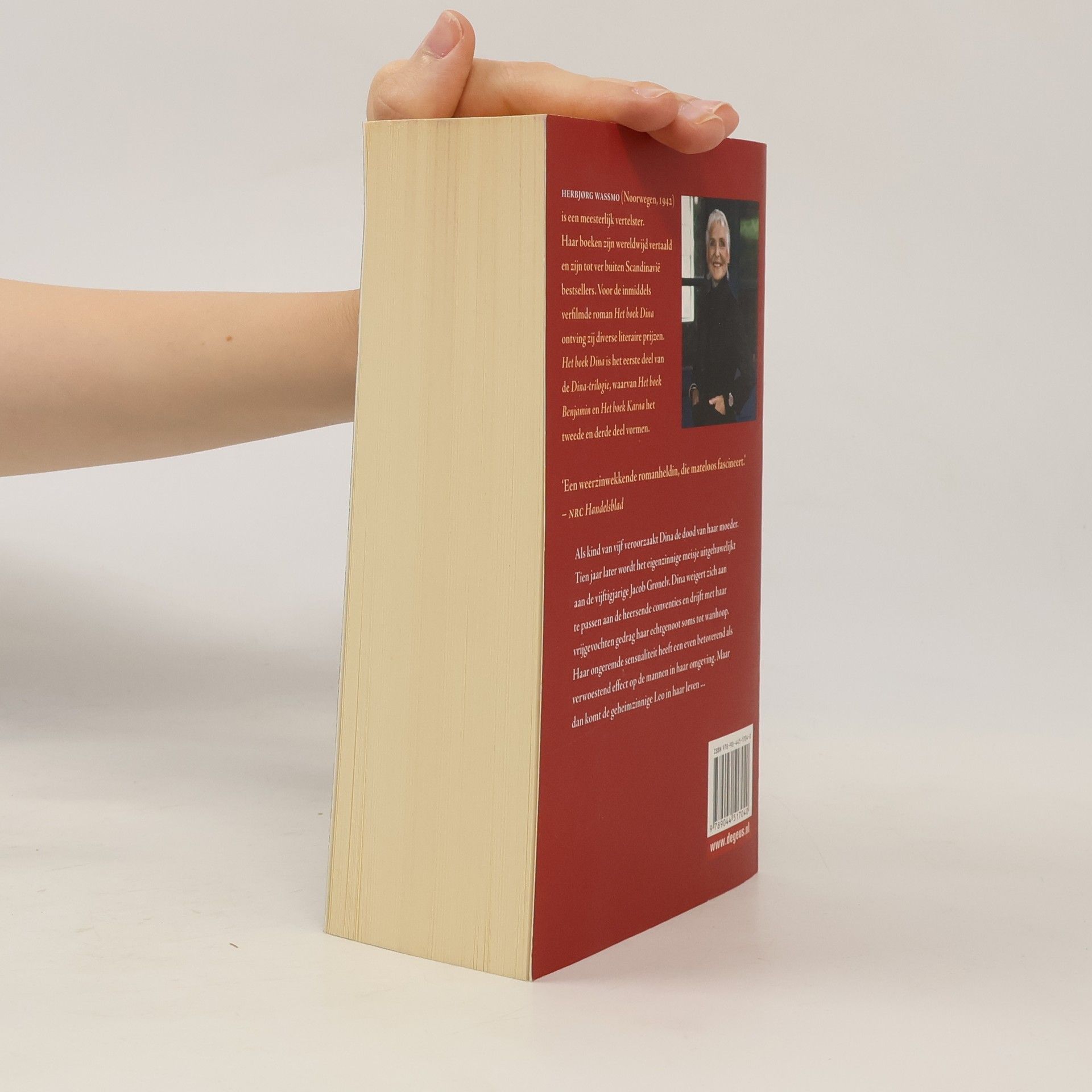 Paula Stevens Het boek Dina