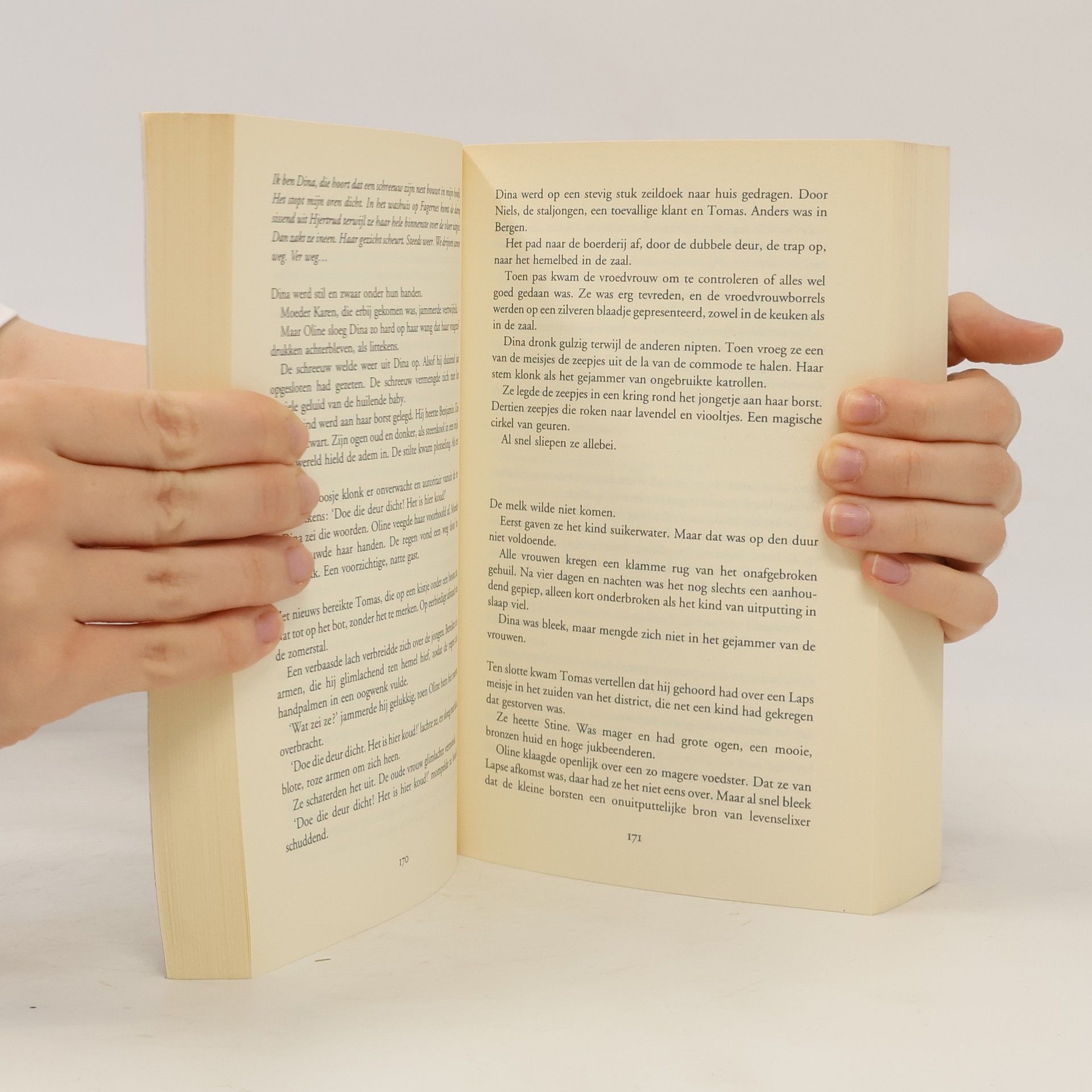 Paula Stevens Het boek Dina