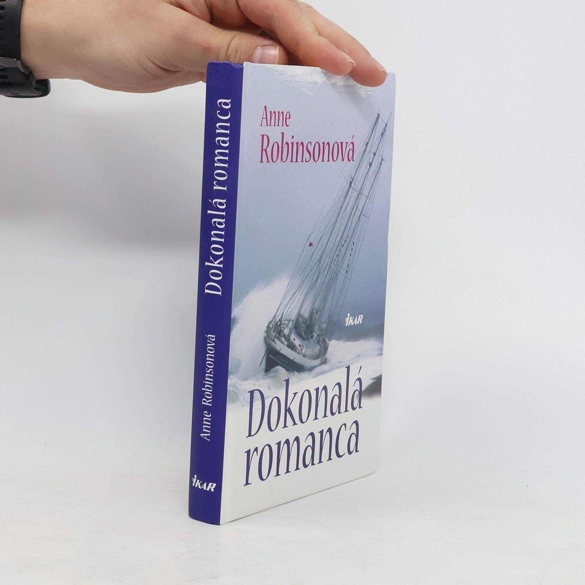 Anne Robins Dokonalá romanca