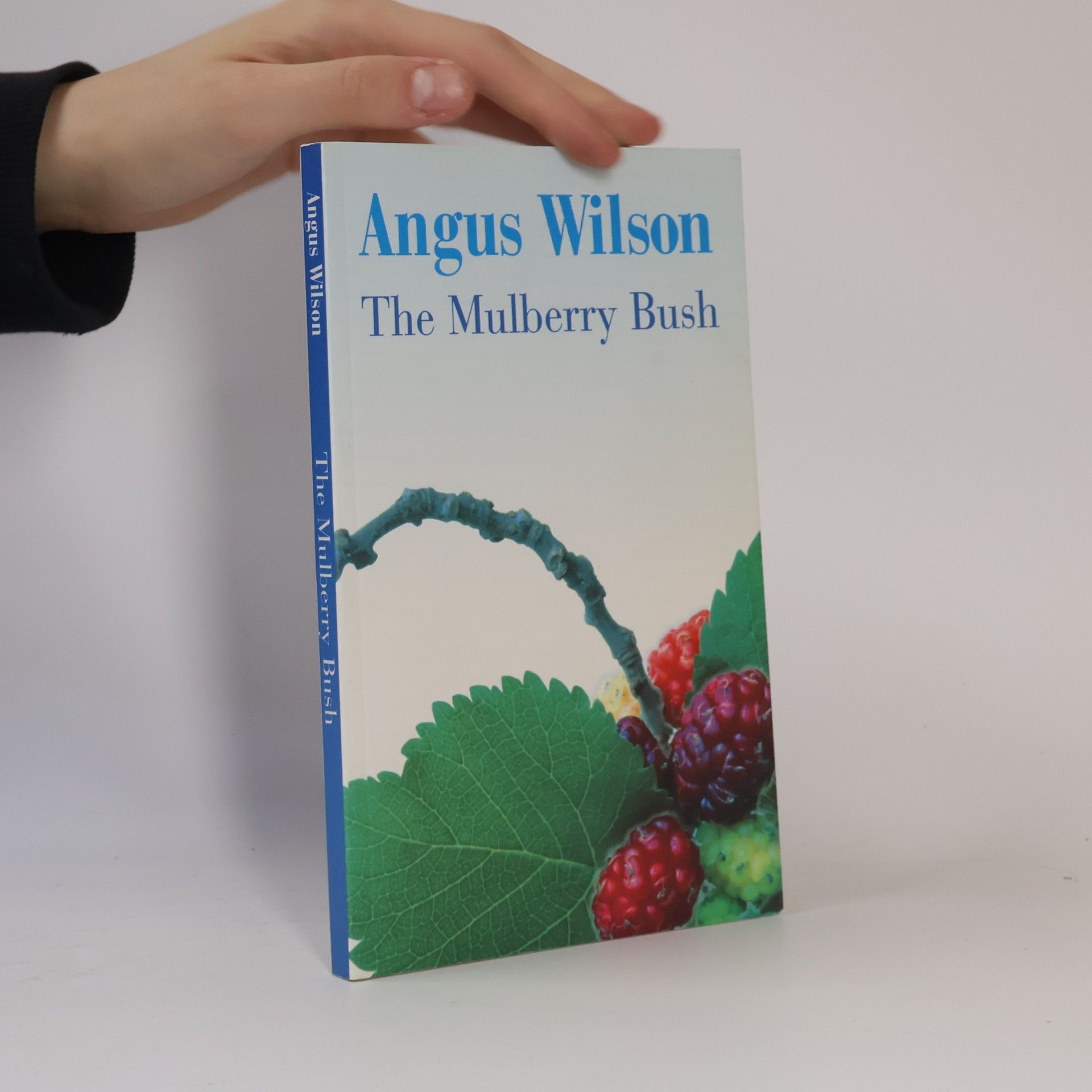 The Mulberry Bush