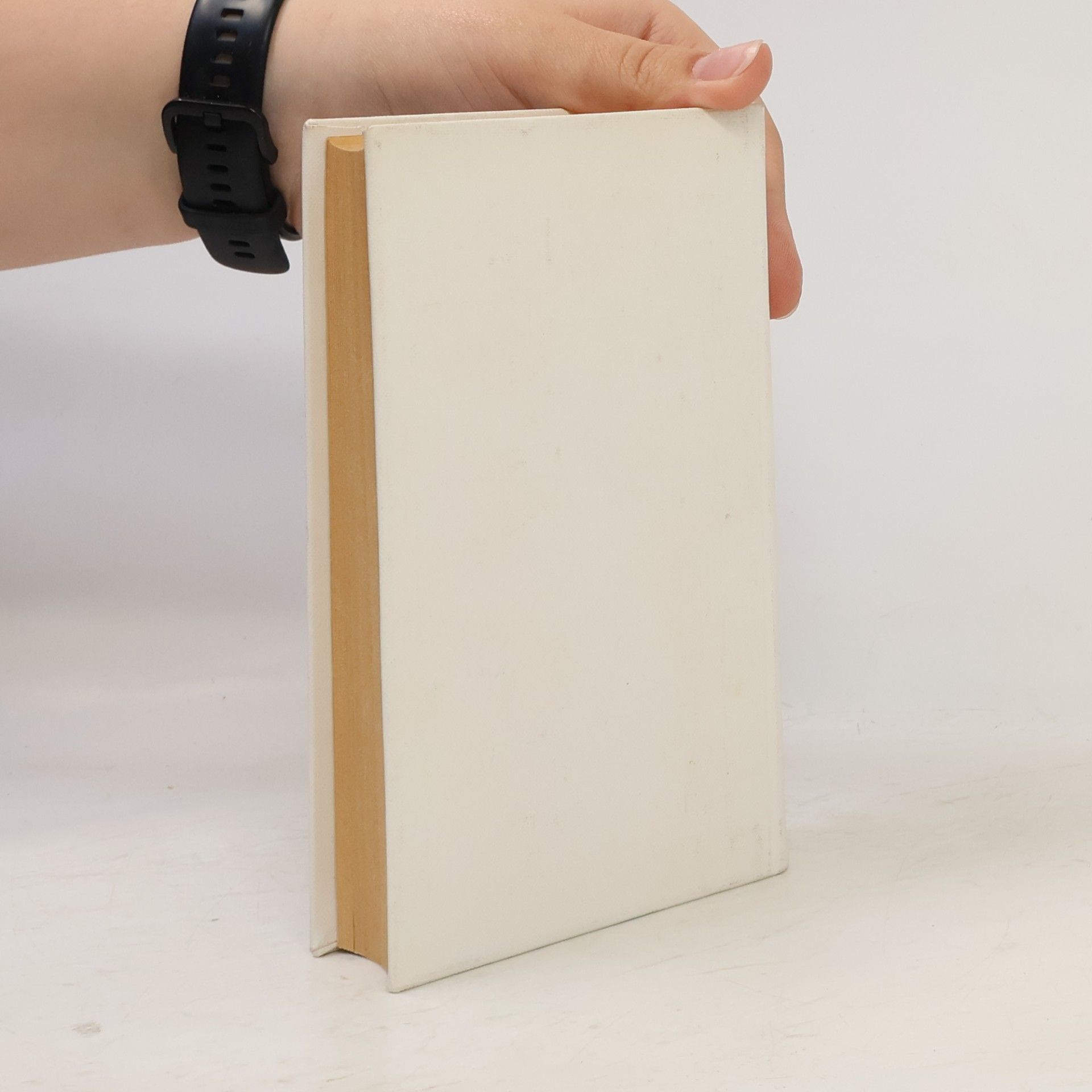 Autorenkollektiv Reisehandbuch Mecklenburger Seen