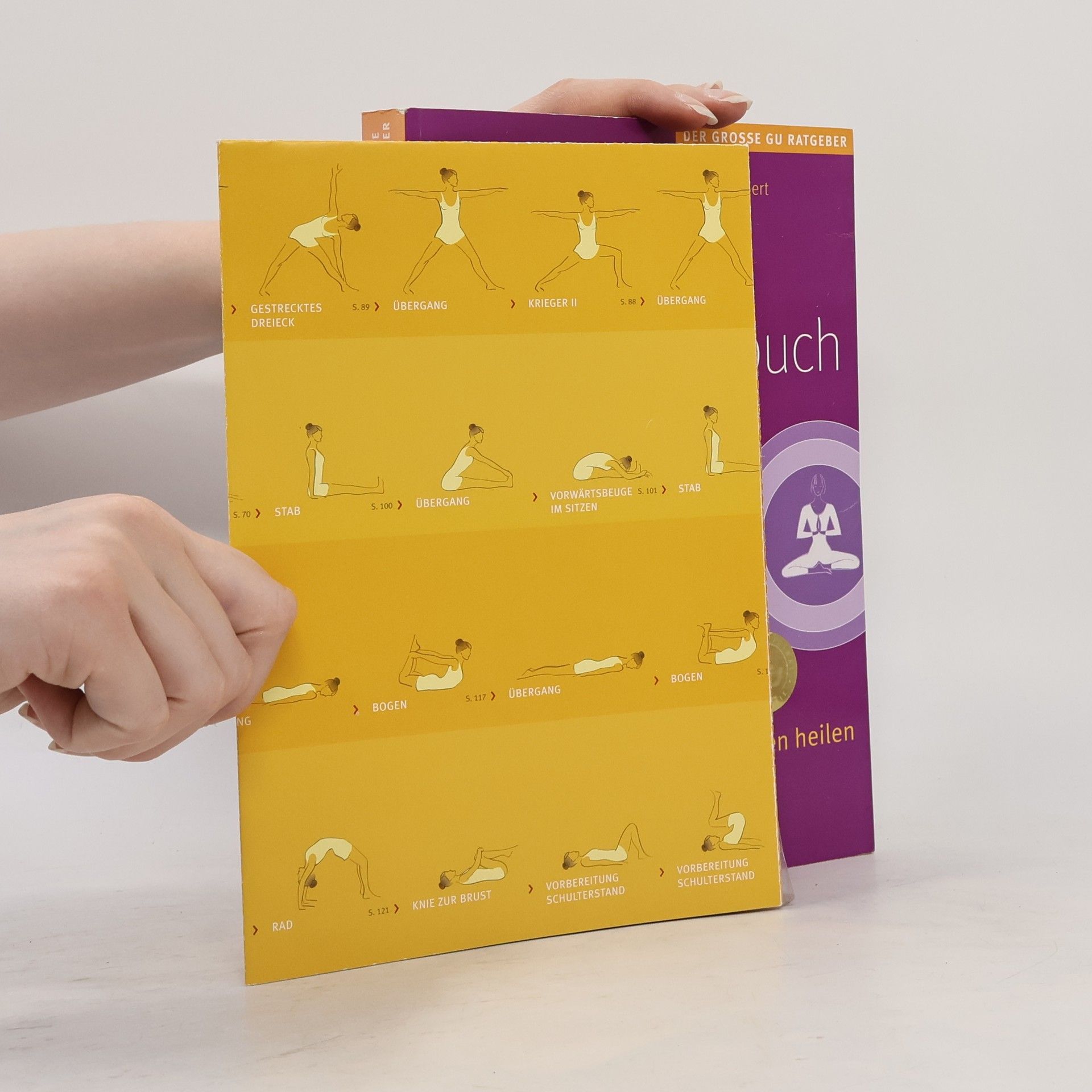Anna Trökes Das Yoga-Gesundheitsbuch