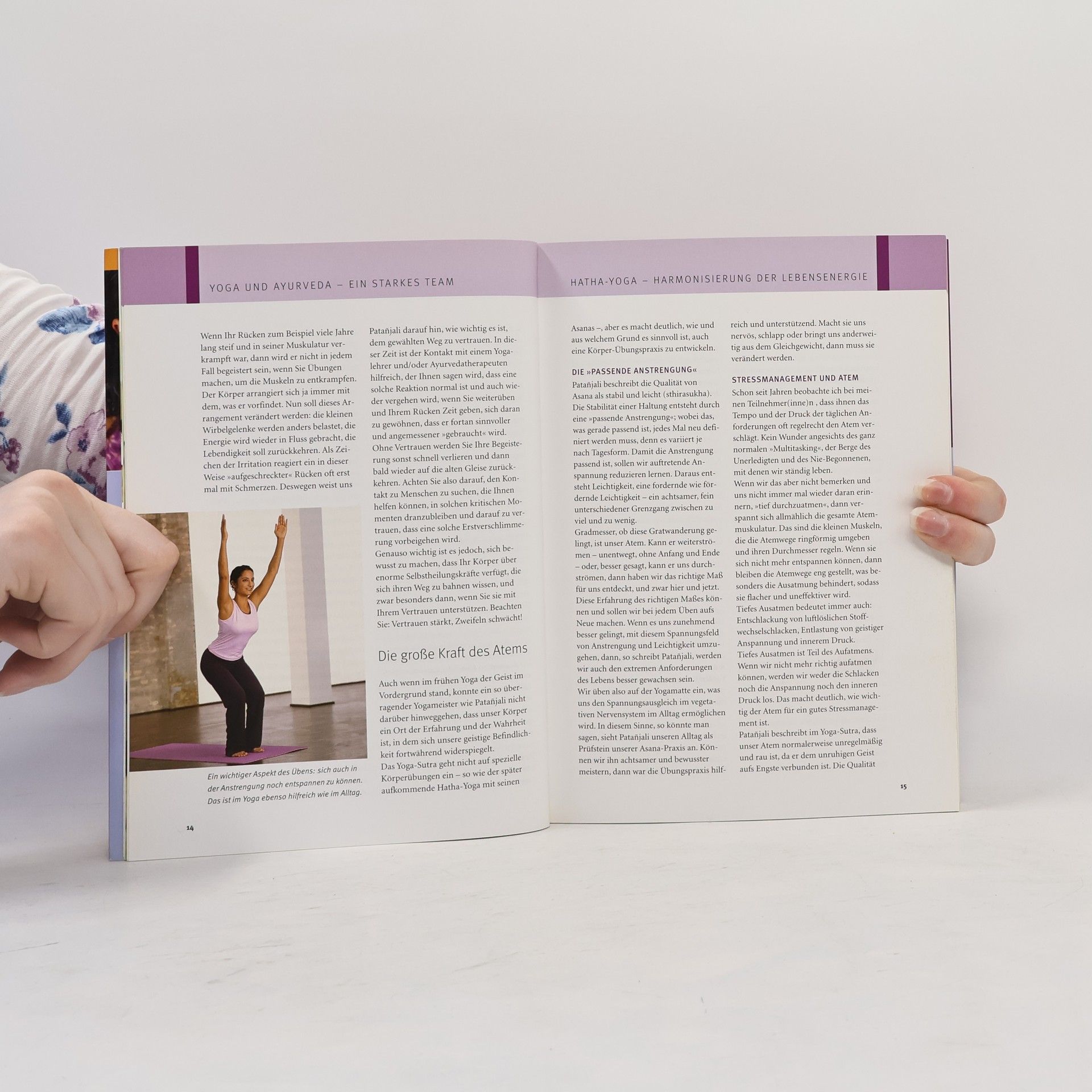 Anna Trökes Das Yoga-Gesundheitsbuch
