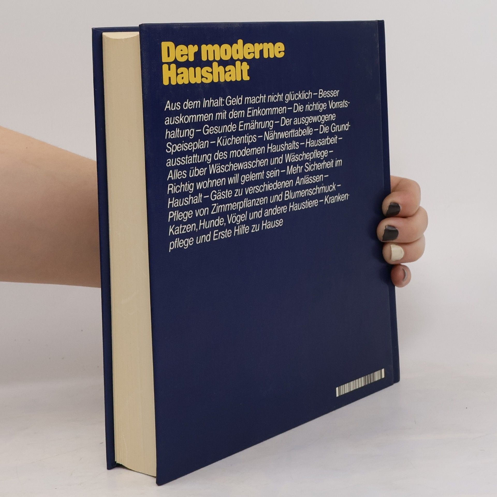 Vicky Baldner Der moderne Haushalt. Ein praktischer Ratgeber
