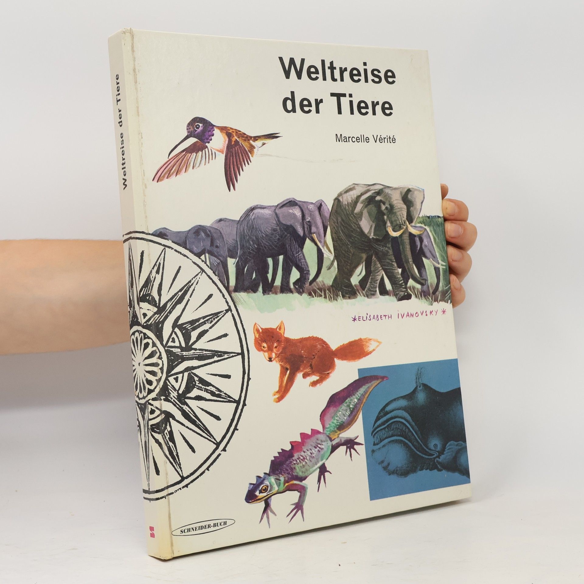 Marcelle Vérité Weltreise der Tiere