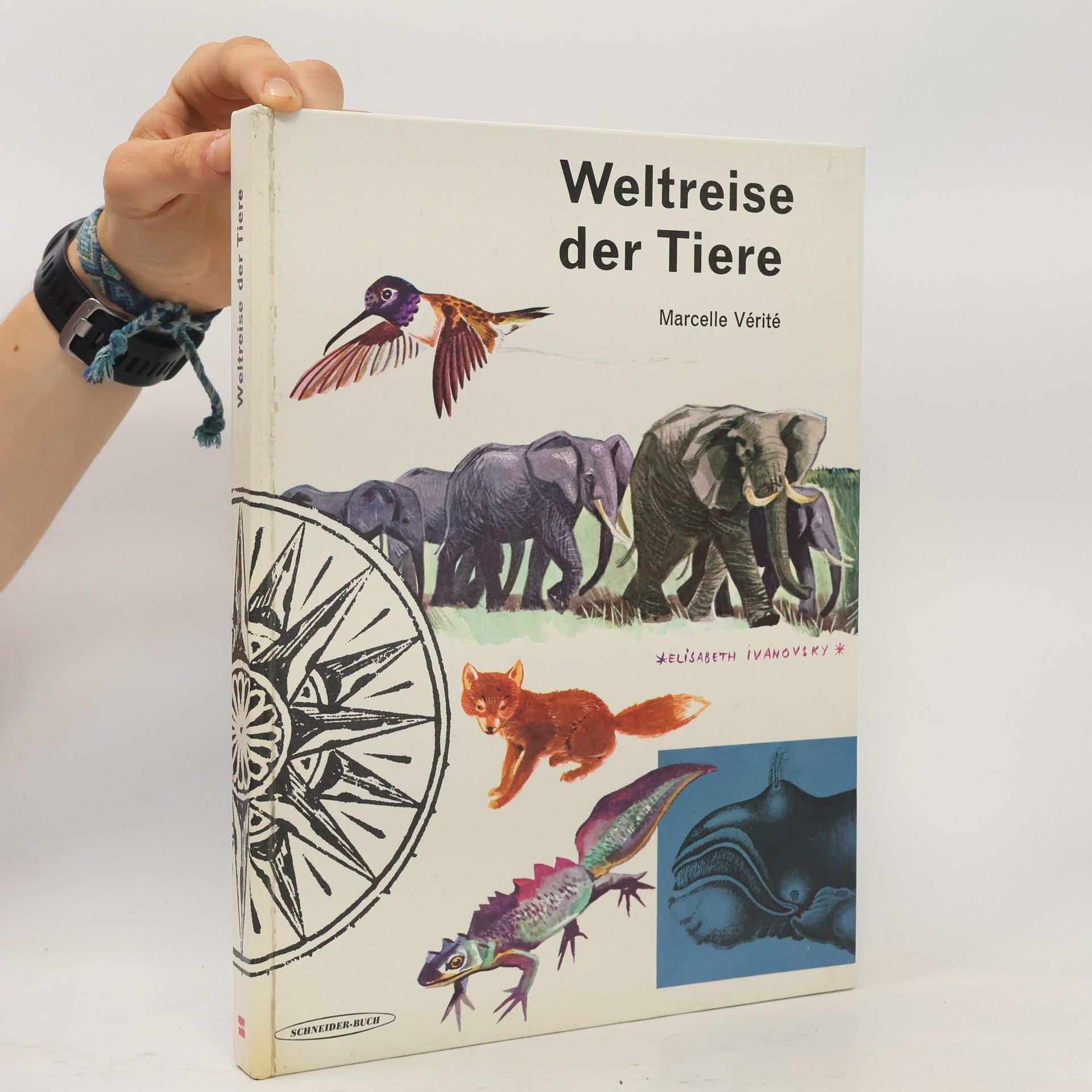 Marcelle Vérité Weltreise der Tiere