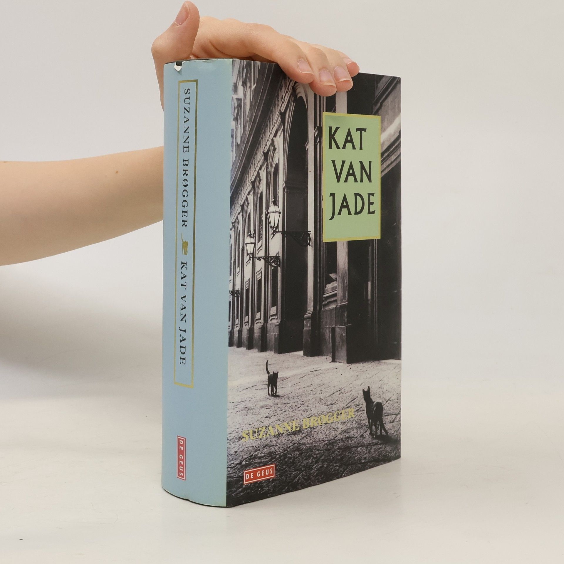 De kat van jade