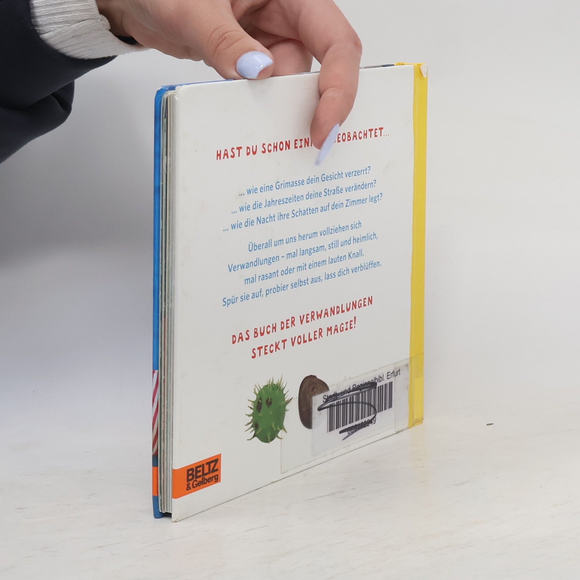 Kristina Brasseler Das Buch der Verwandlungen