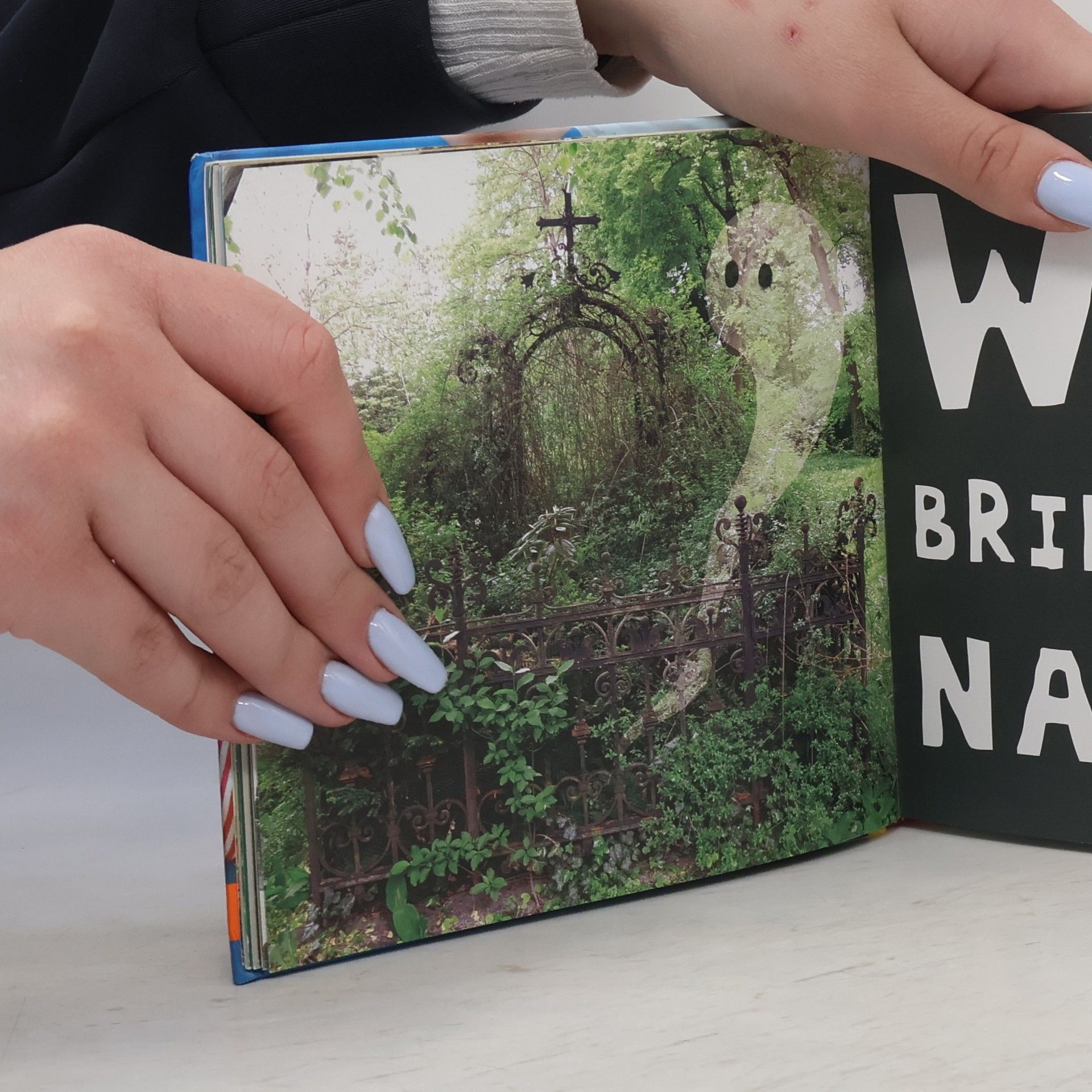 Kristina Brasseler Das Buch der Verwandlungen