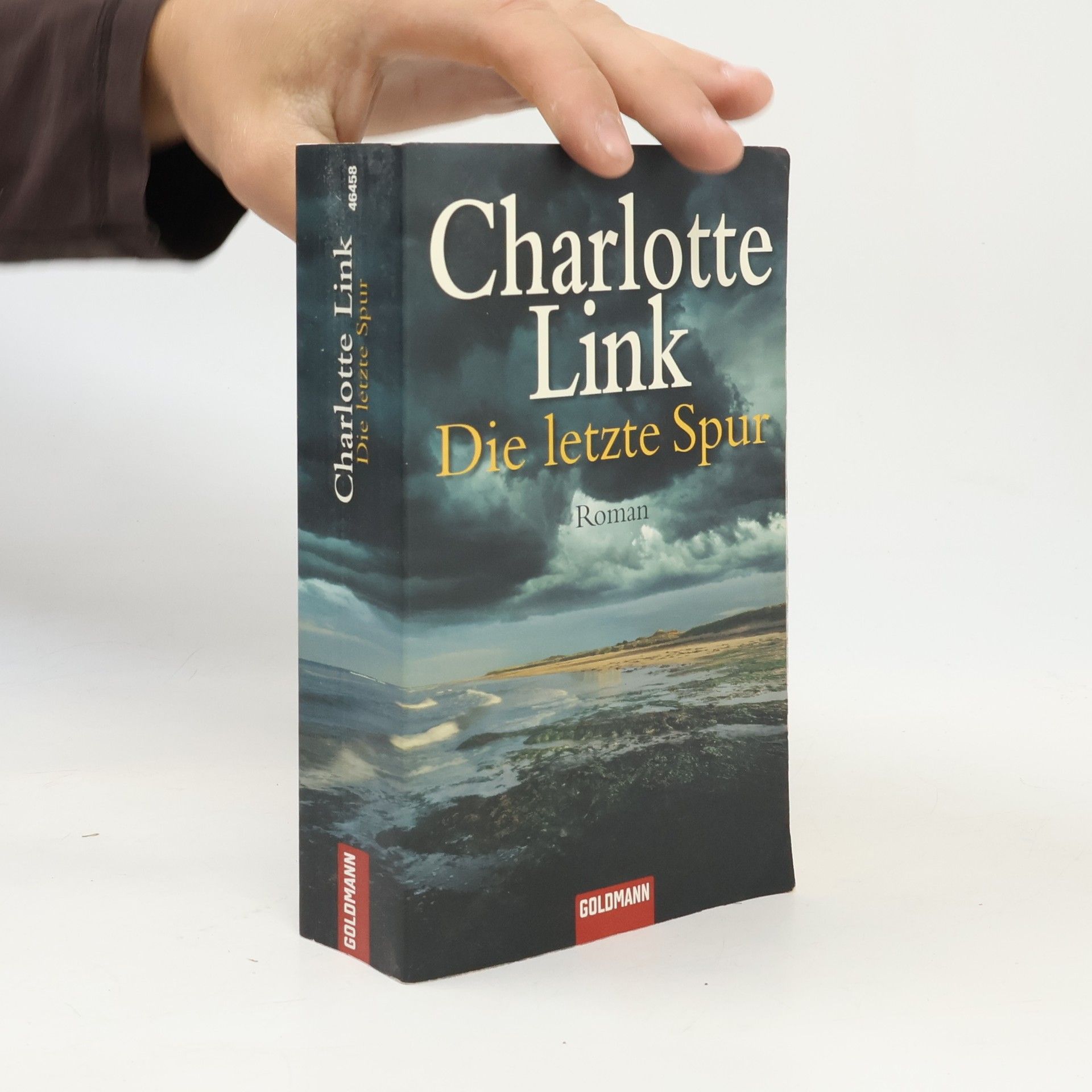 Charlotte Link Die letzte Spur