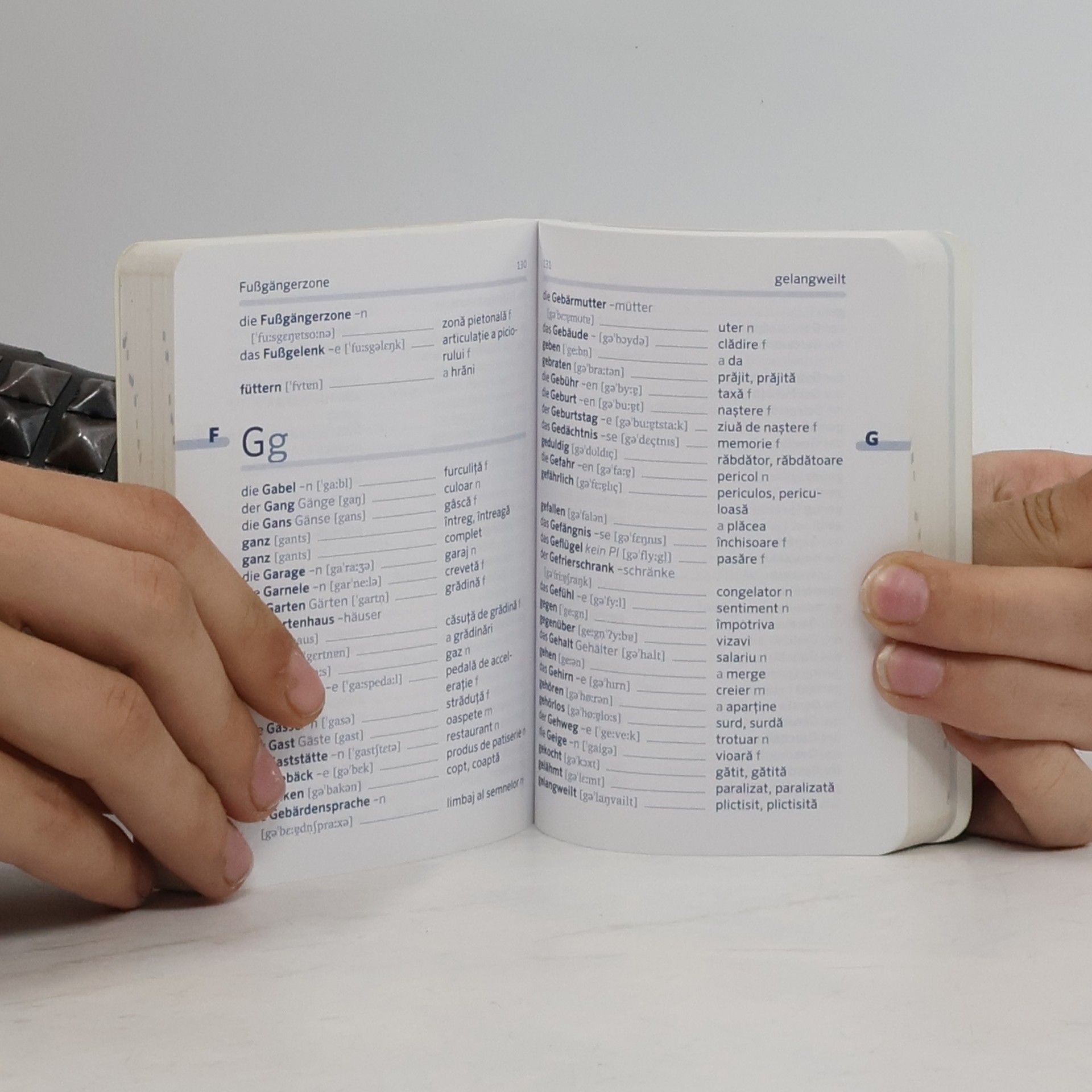 Anette Dralle PONS Das kleine Wörterbuch Rumänisch