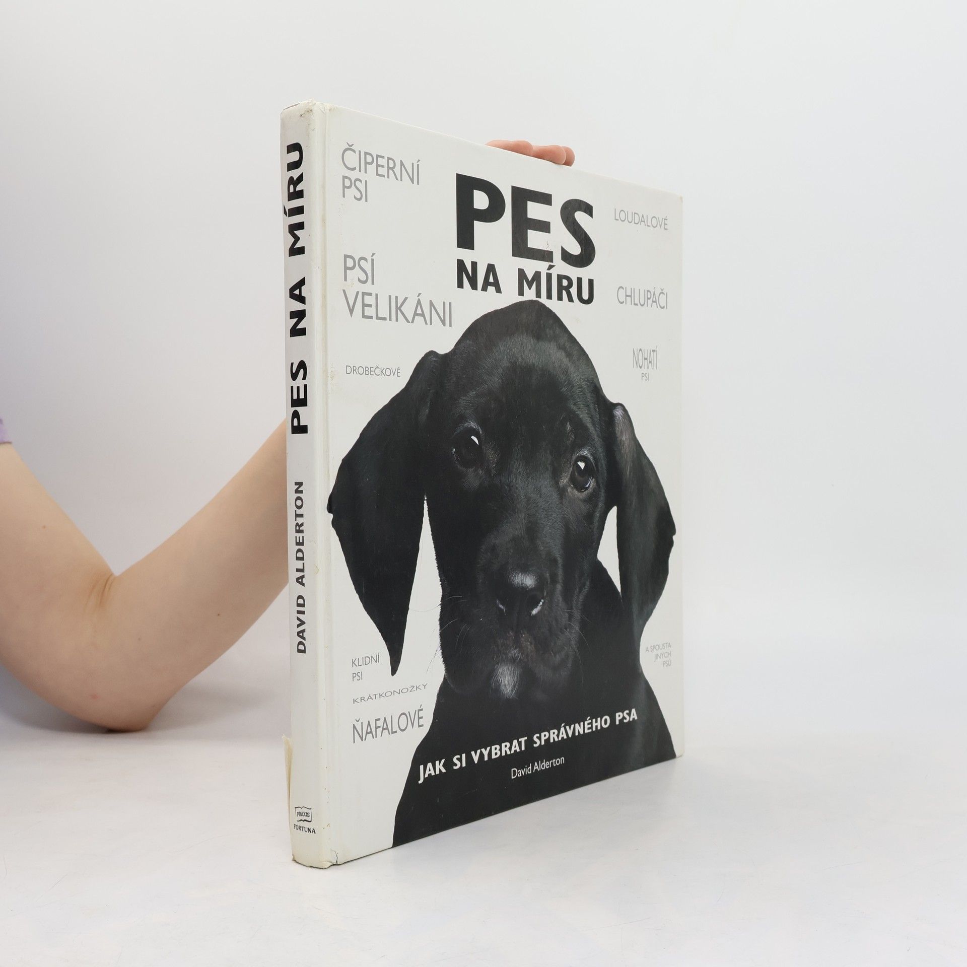 David Alderton Pes na míru. Jak si vybrat správného psa.