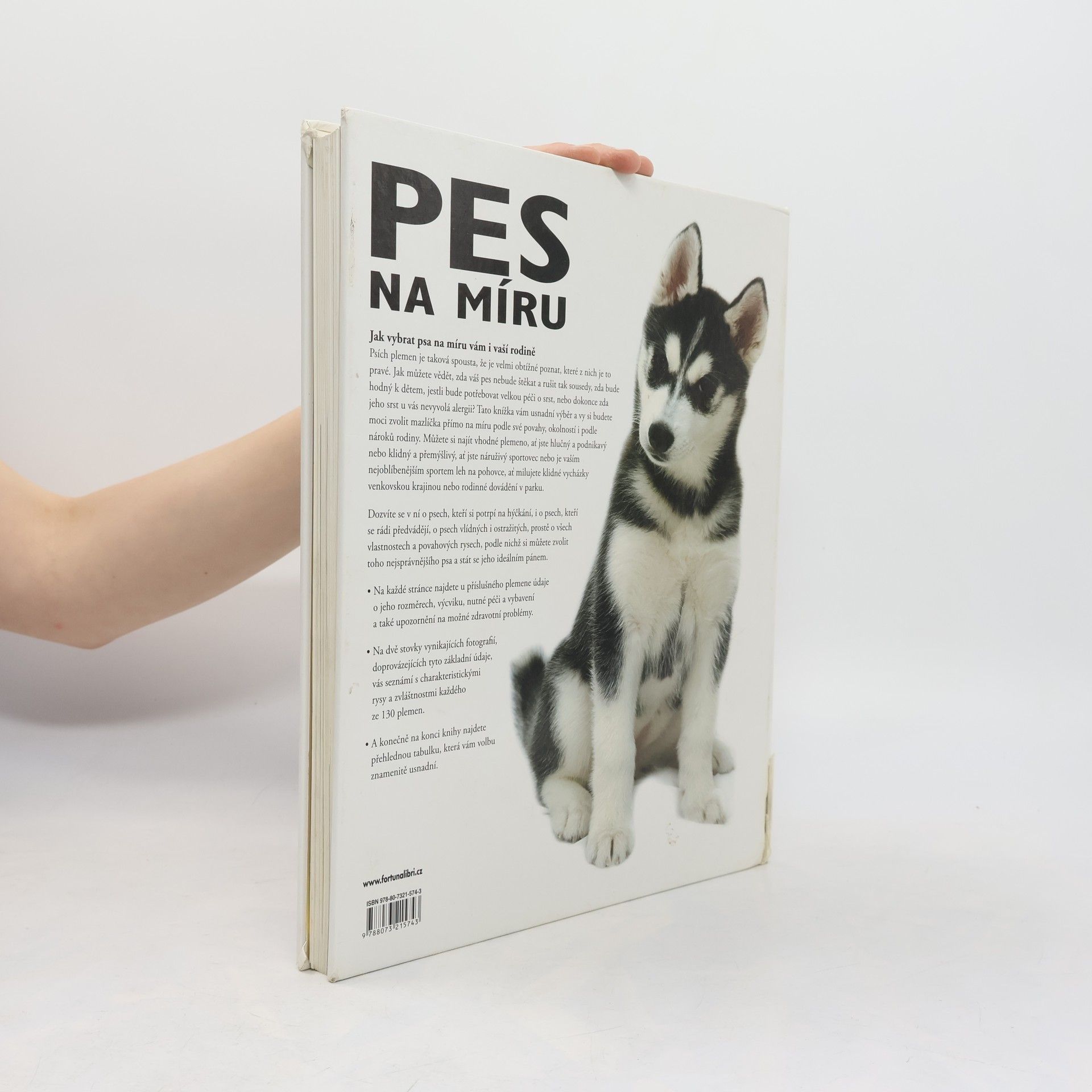 David Alderton Pes na míru. Jak si vybrat správného psa.