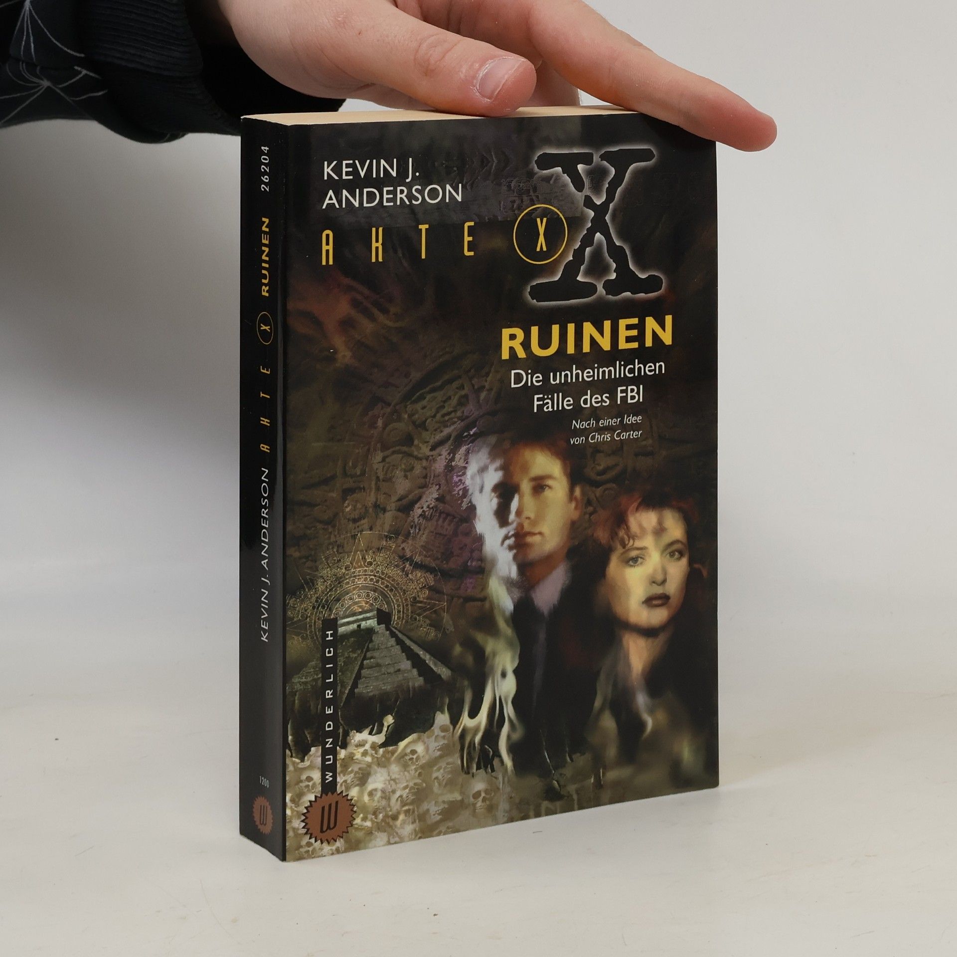 Kevin J. Anderson Akte X. Ruinen