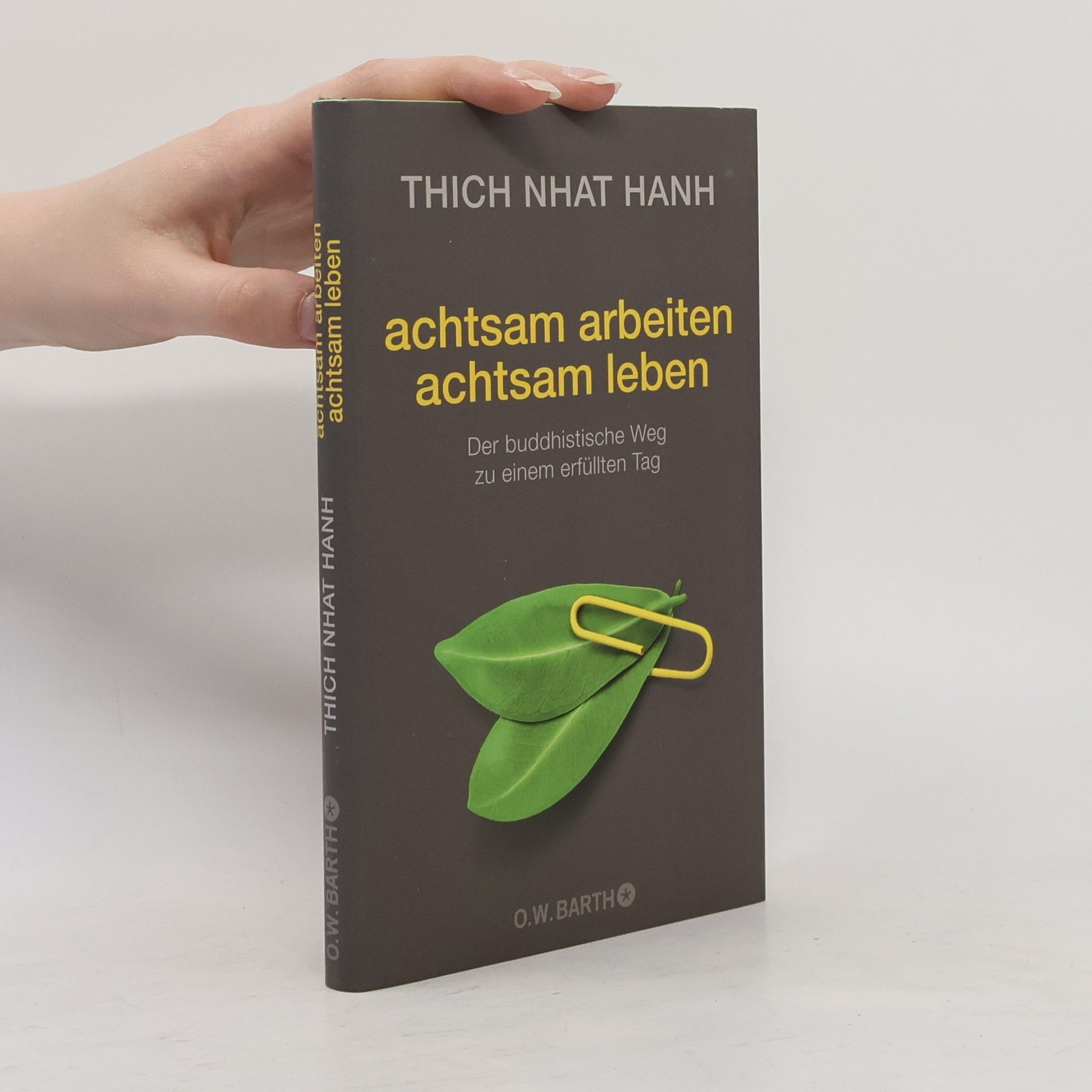 Hạnh Nhat Achtsam arbeiten, achtsam leben