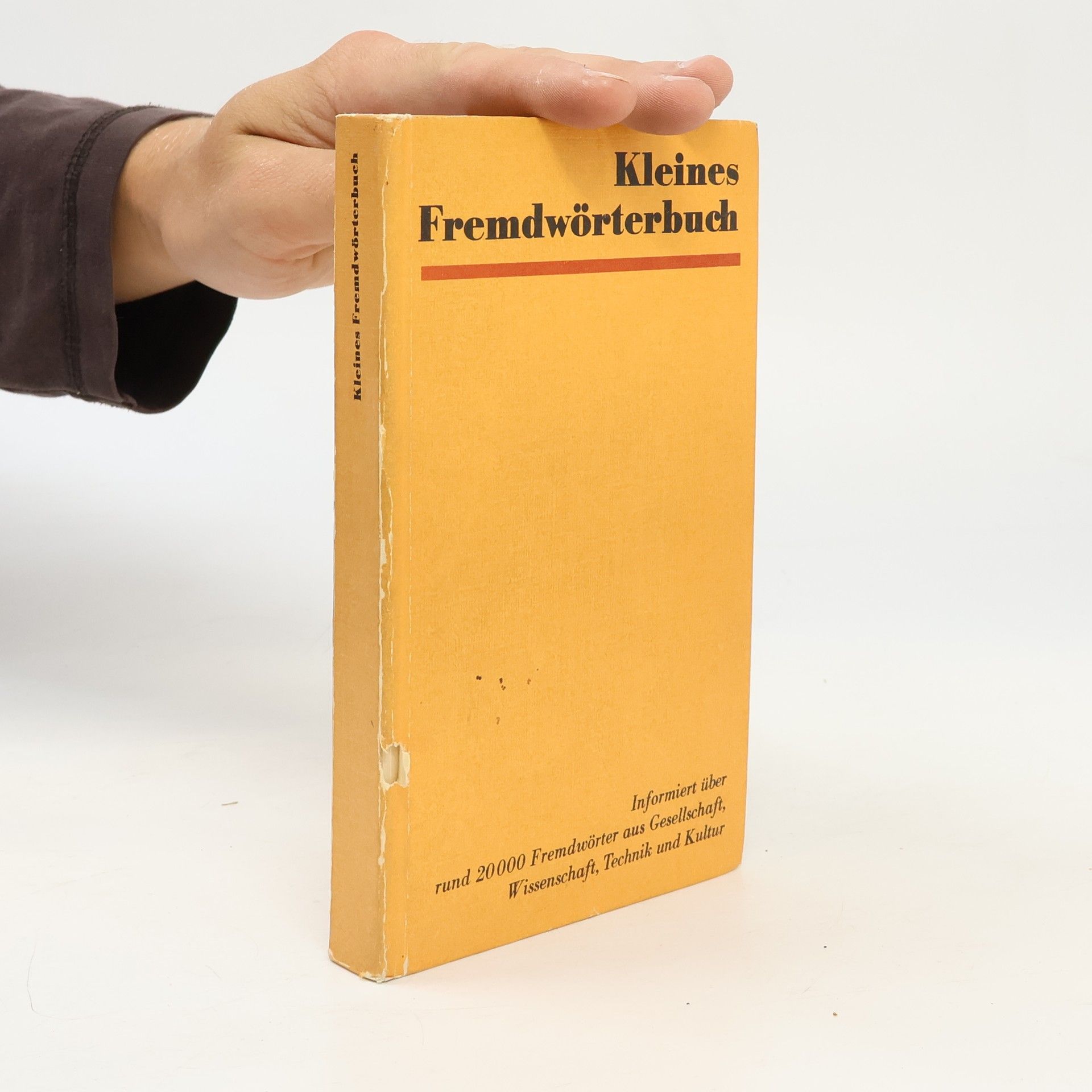 Roselore Ehrlich Kleines Fremdwörterbuch