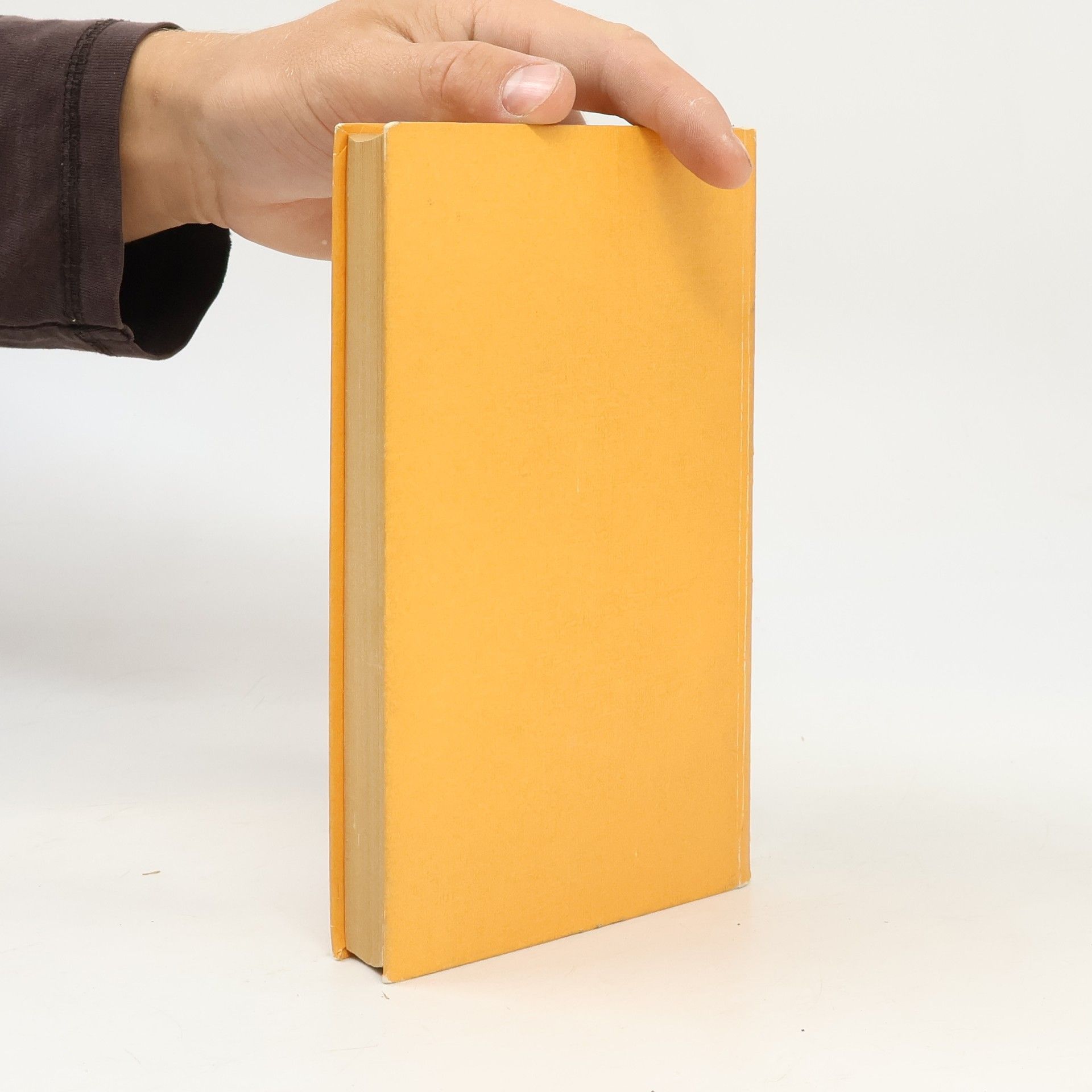 Roselore Ehrlich Kleines Fremdwörterbuch