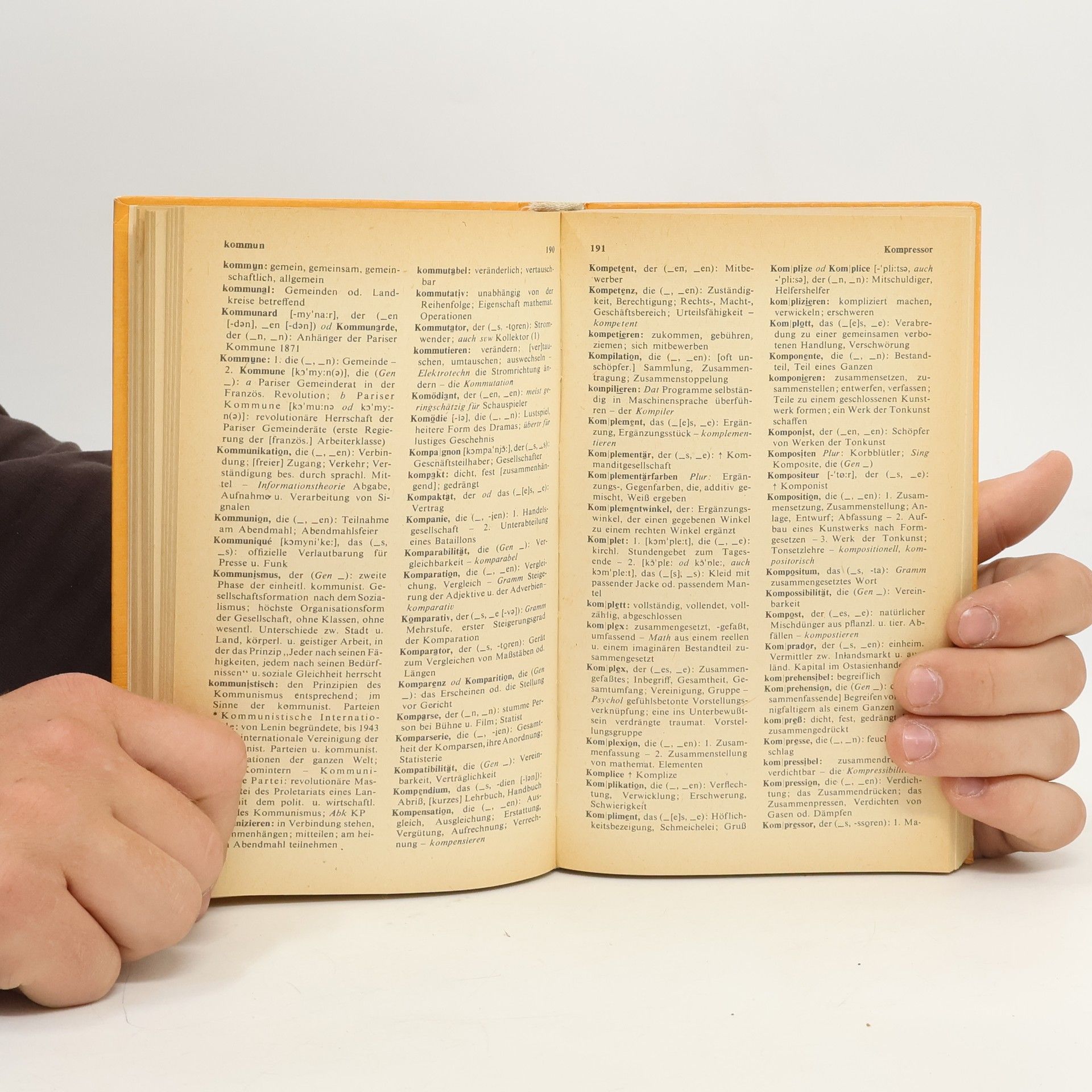 Roselore Ehrlich Kleines Fremdwörterbuch