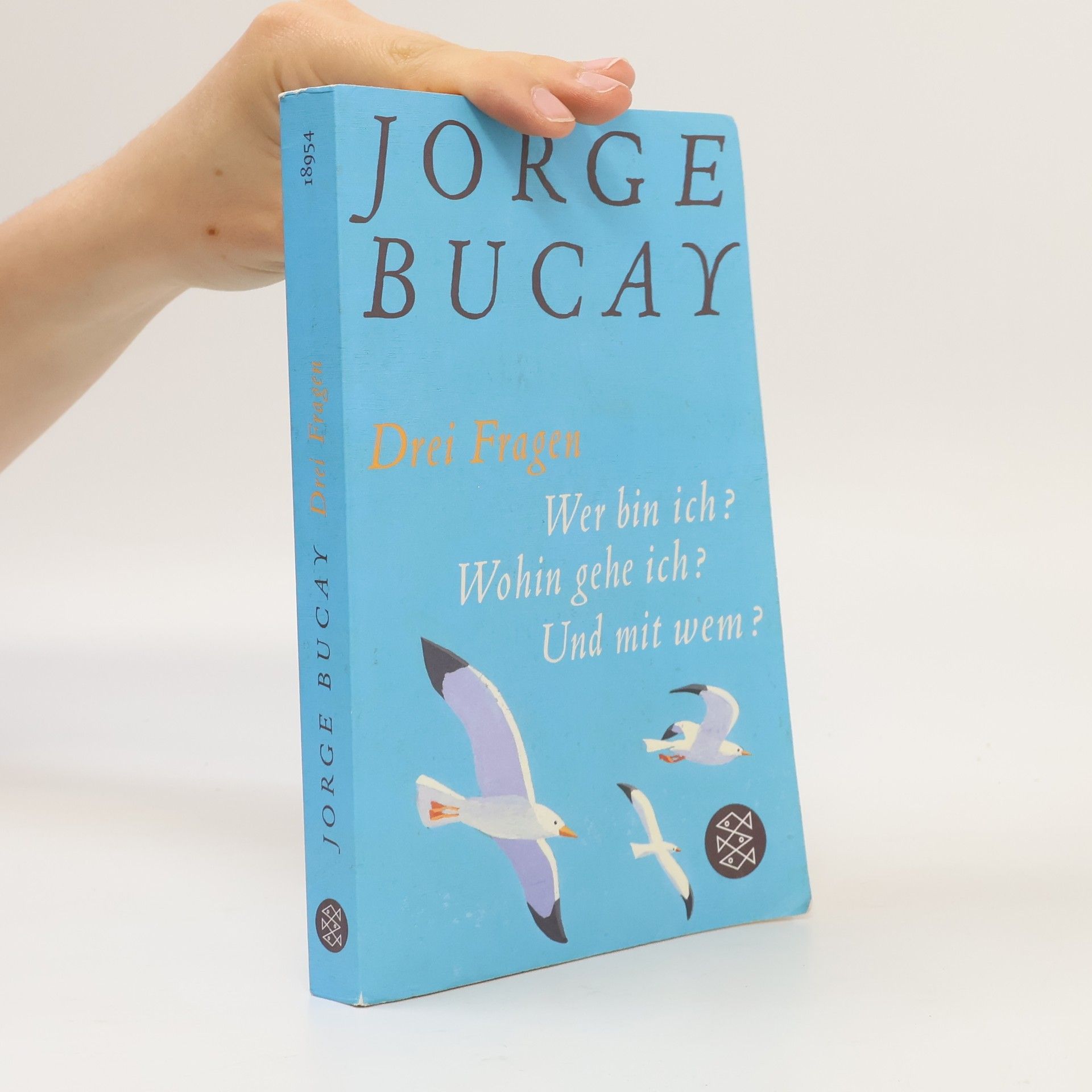 Jorge Bucay Drei Fragen