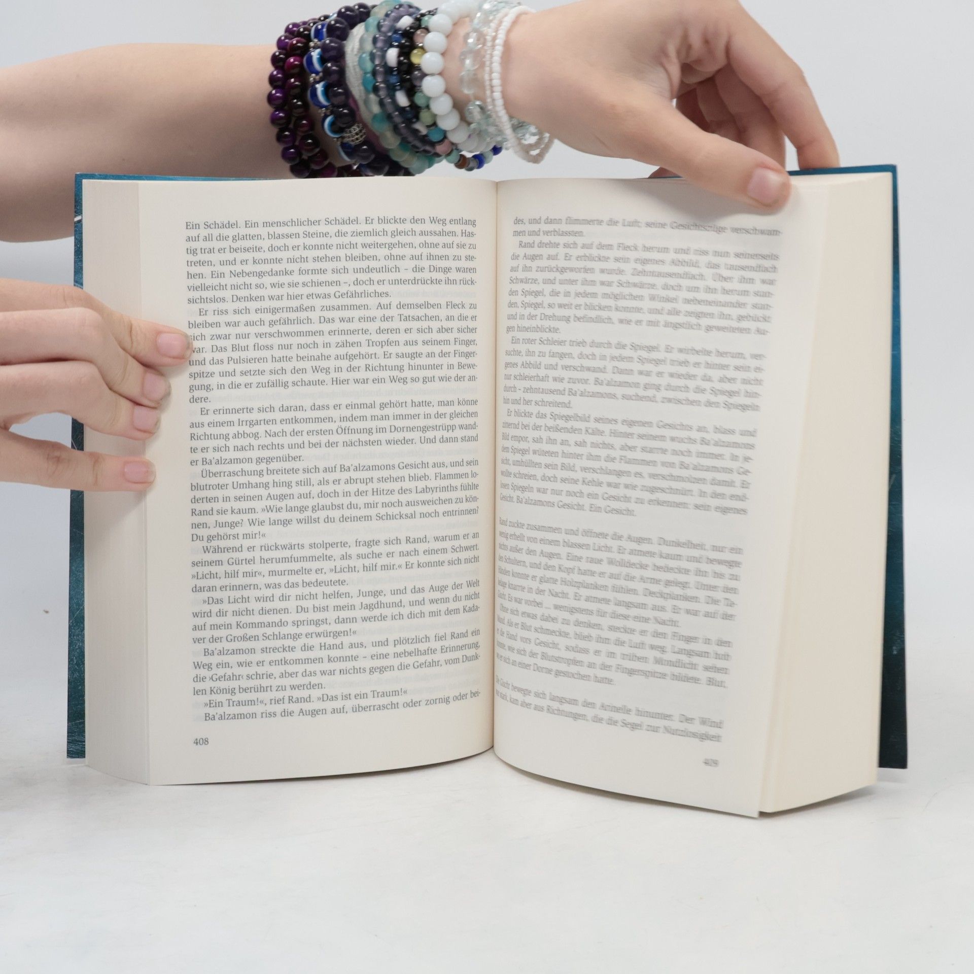 Robert Jordan Das Rad der Zeit: Die Suche nach dem Auge der Welt