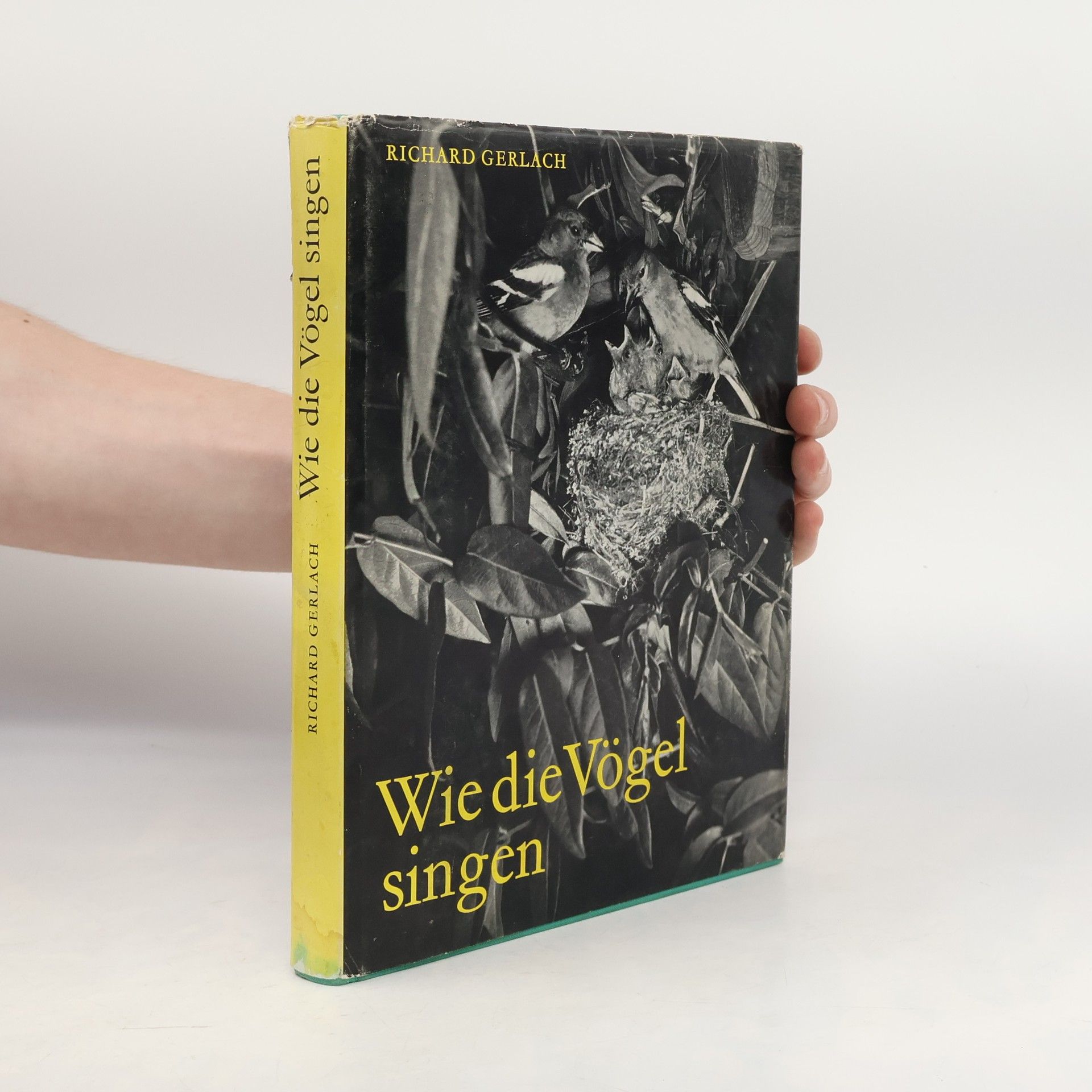 Richard Gerlach Wie die Vögel singen