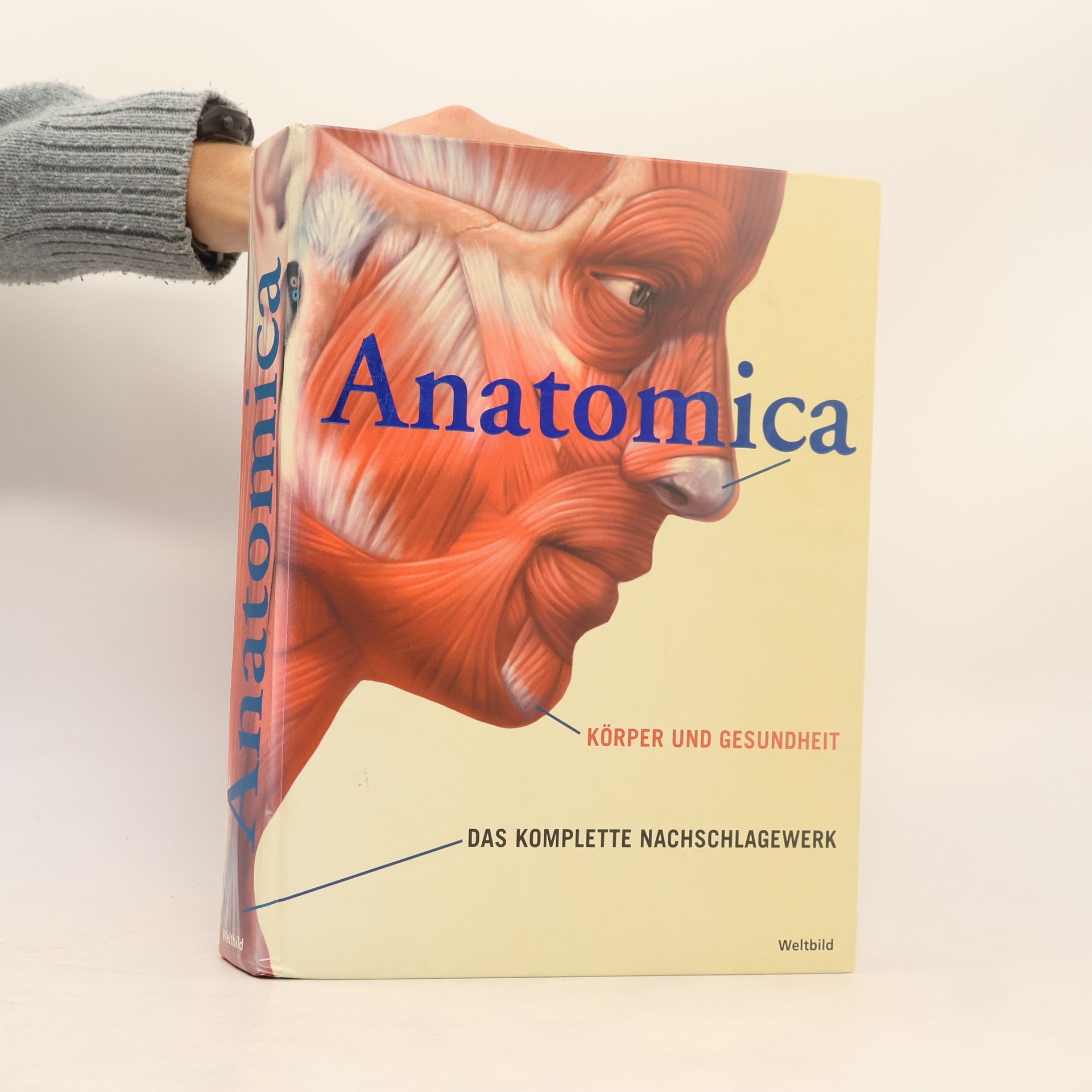 Gordon Cheers Anatomica