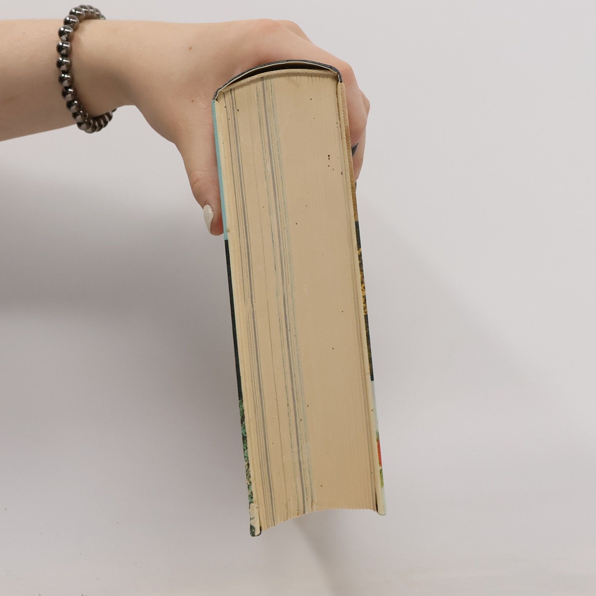 Robert Killinger Wissen, Bildung, Erfolg. Band 2
