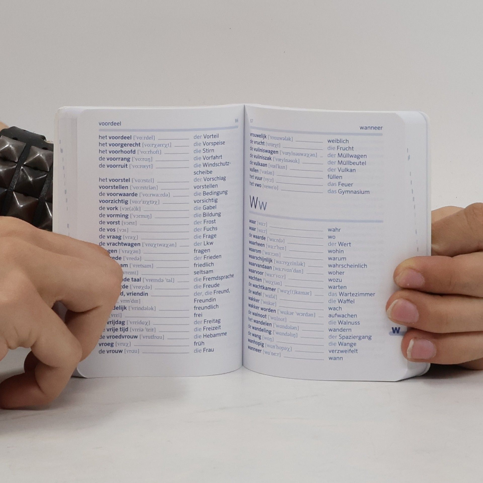 Hans Beelen PONS Das kleine Wörterbuch Niederländisch
