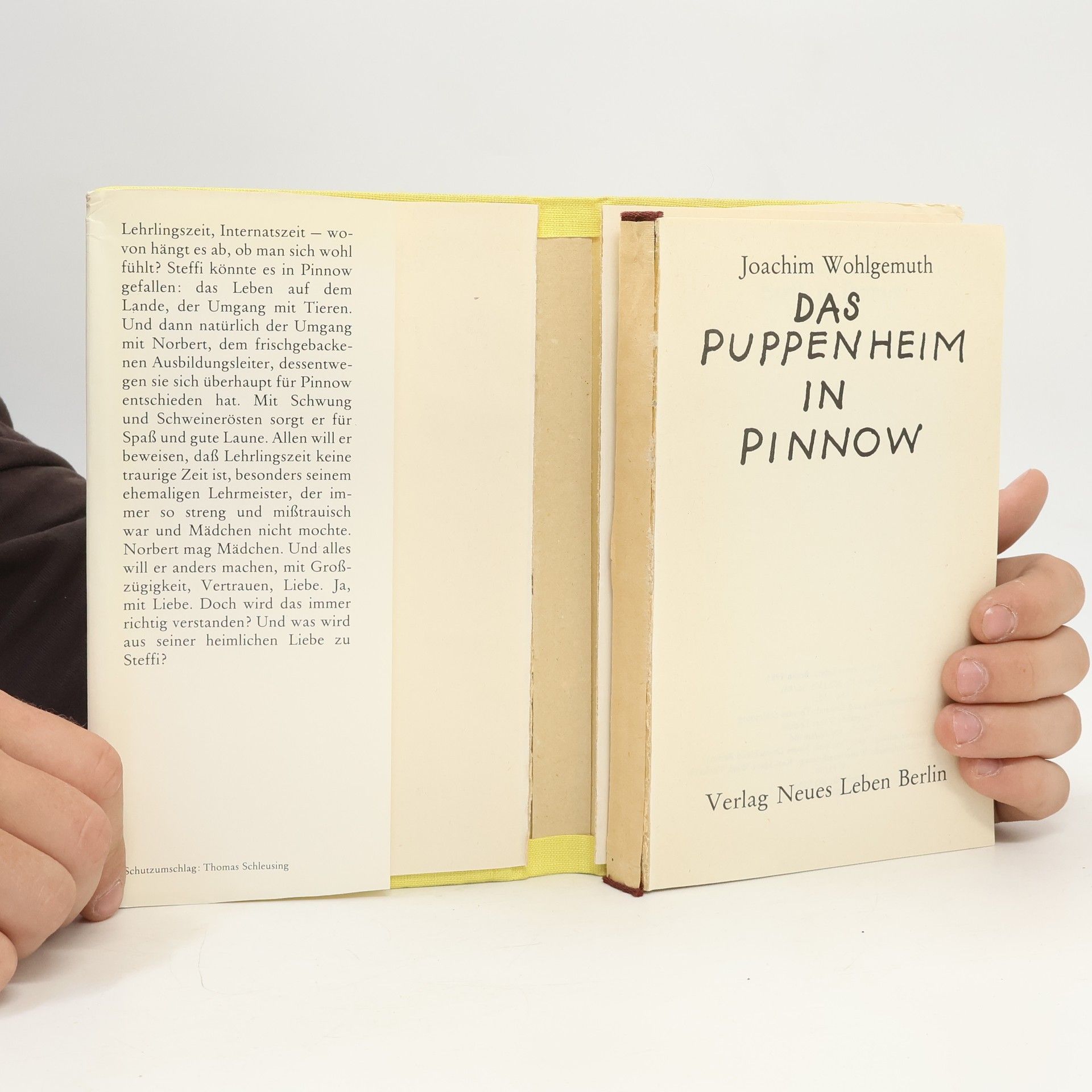 Joachim Wohlgemuth Das Puppenheim in Pinnow