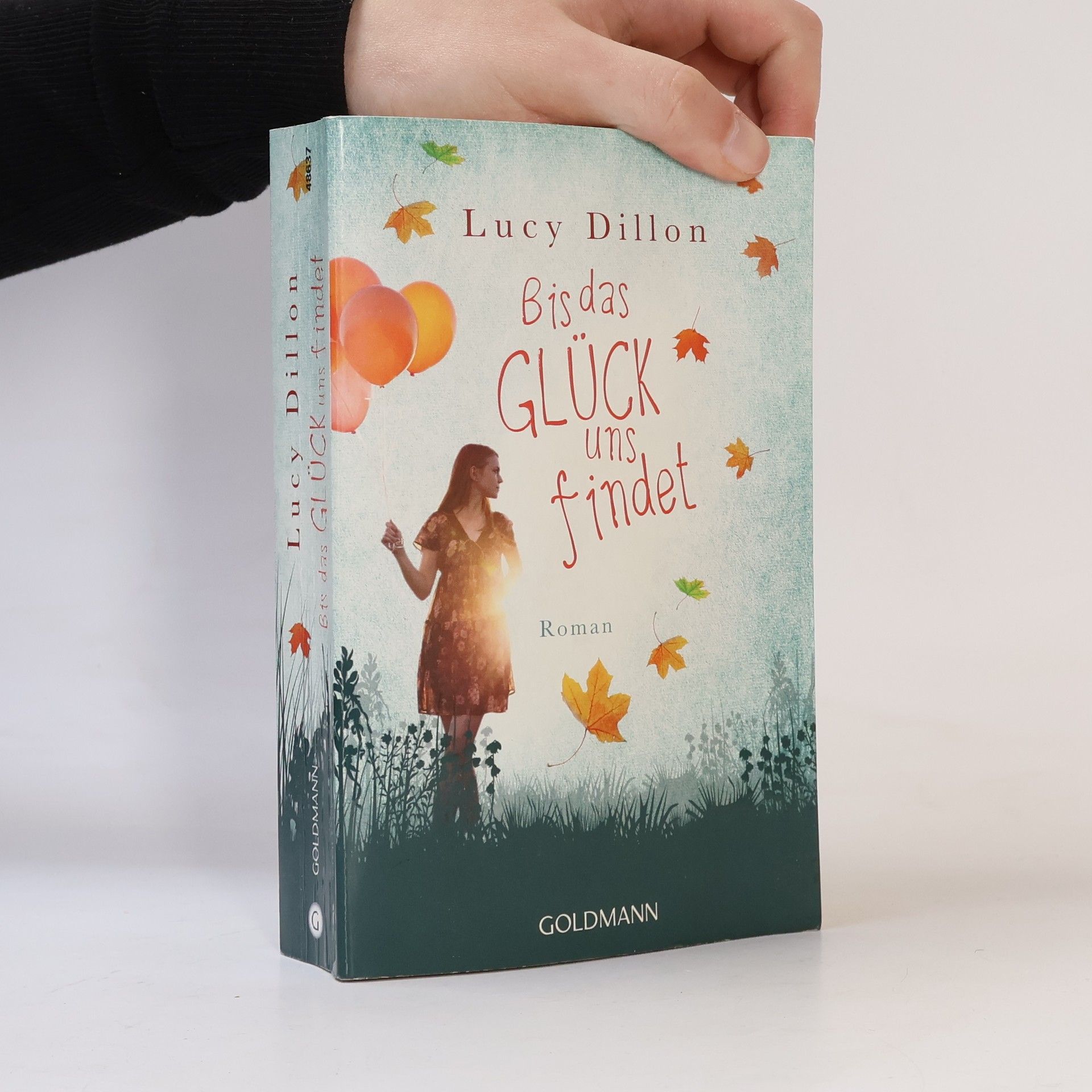 Lucy Dillon Bis das Glück uns findet