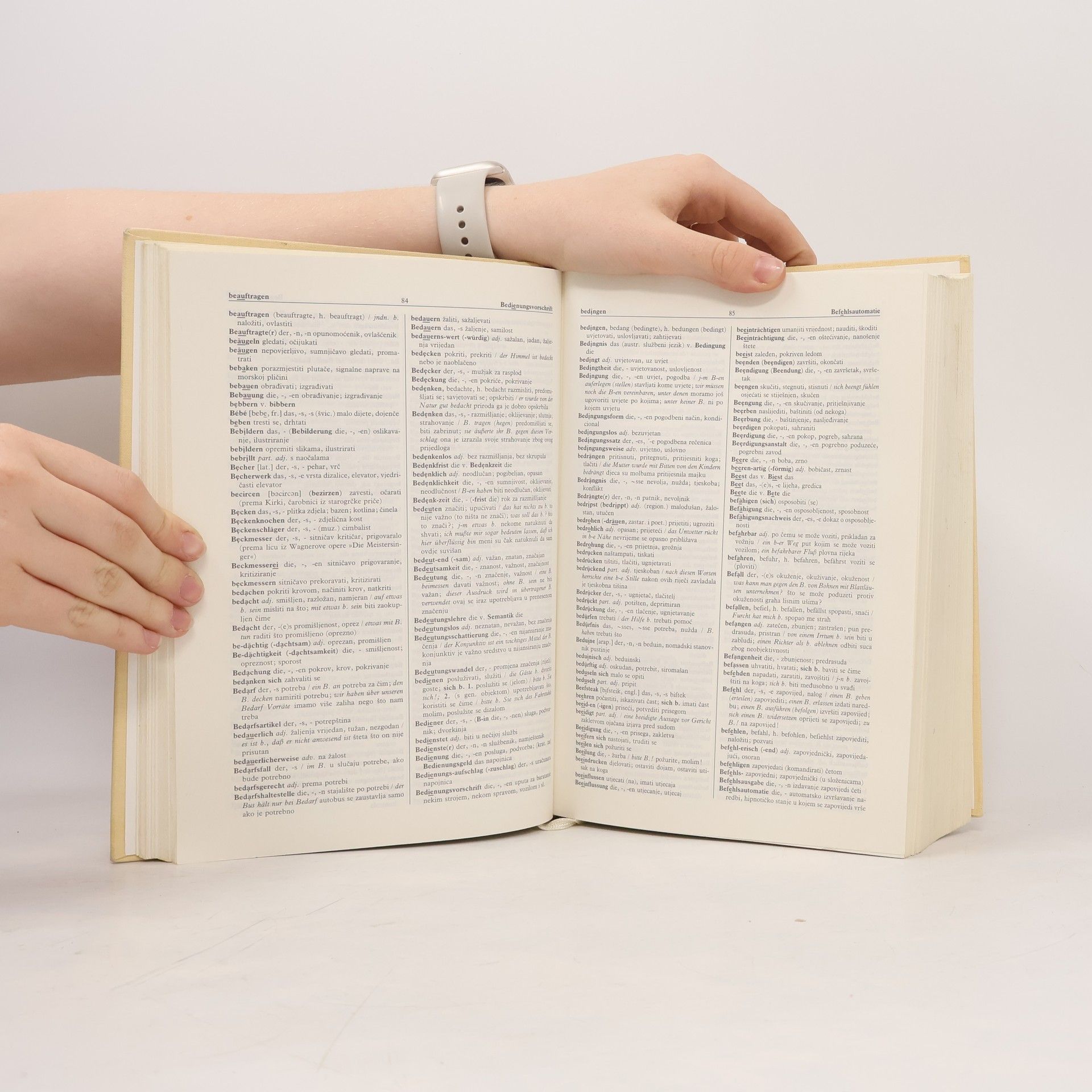 Autores varios Deutsch-Kroatisches Wörterbuch