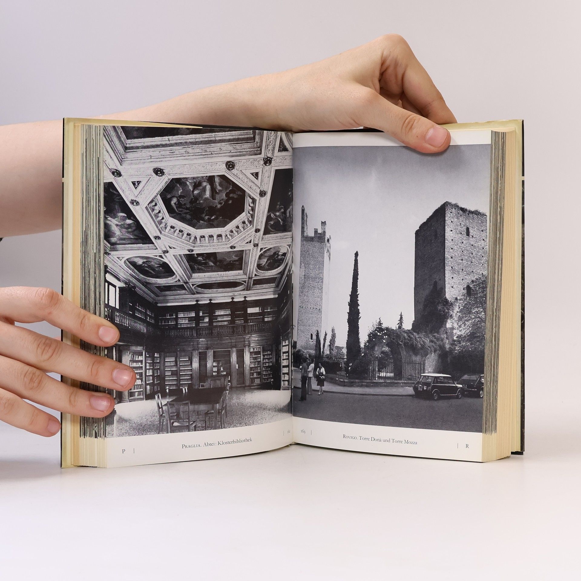 Autores varios Kunstdenkmäler Venetien
