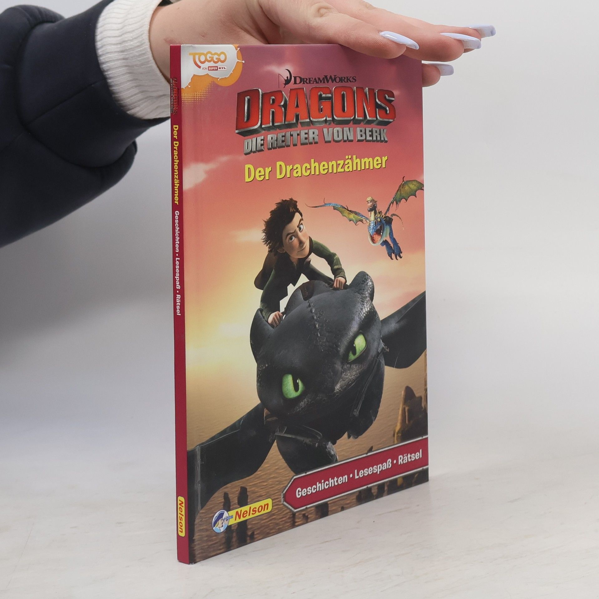 Autorenkollektiv Dreamworks Dragons - Der Drachenzähmer