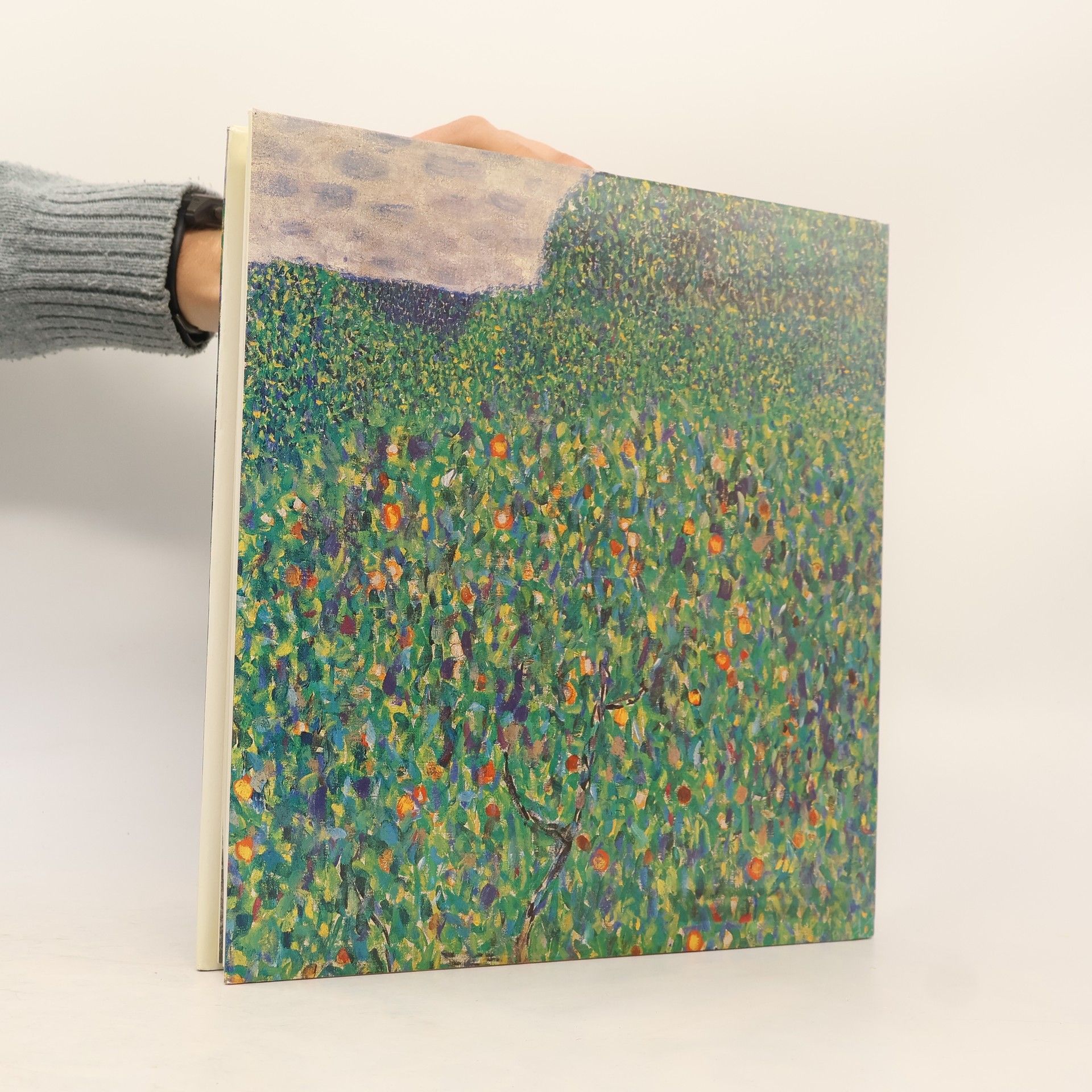 Johannes Dobai Gustav Klimt. Die Landschaften