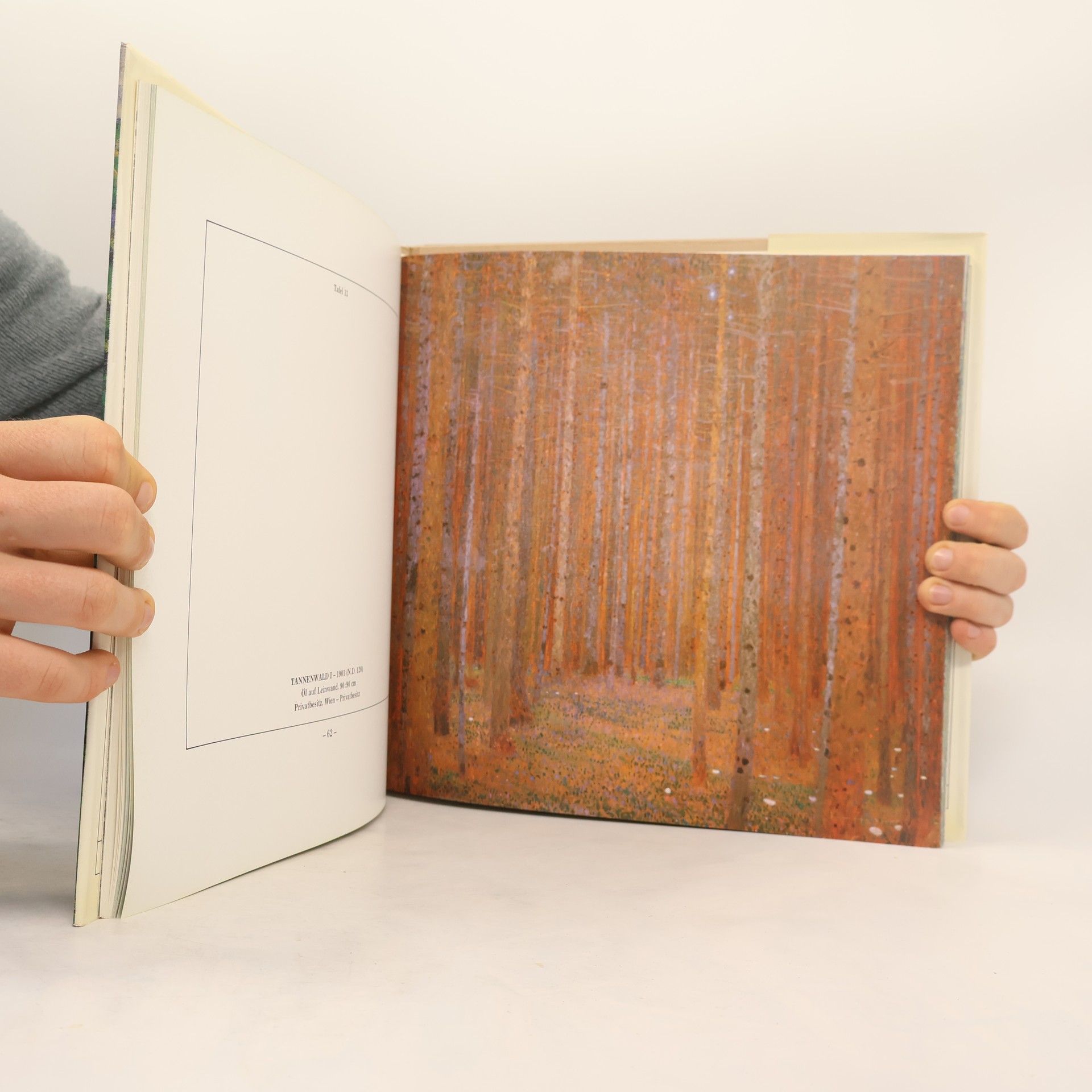 Johannes Dobai Gustav Klimt. Die Landschaften