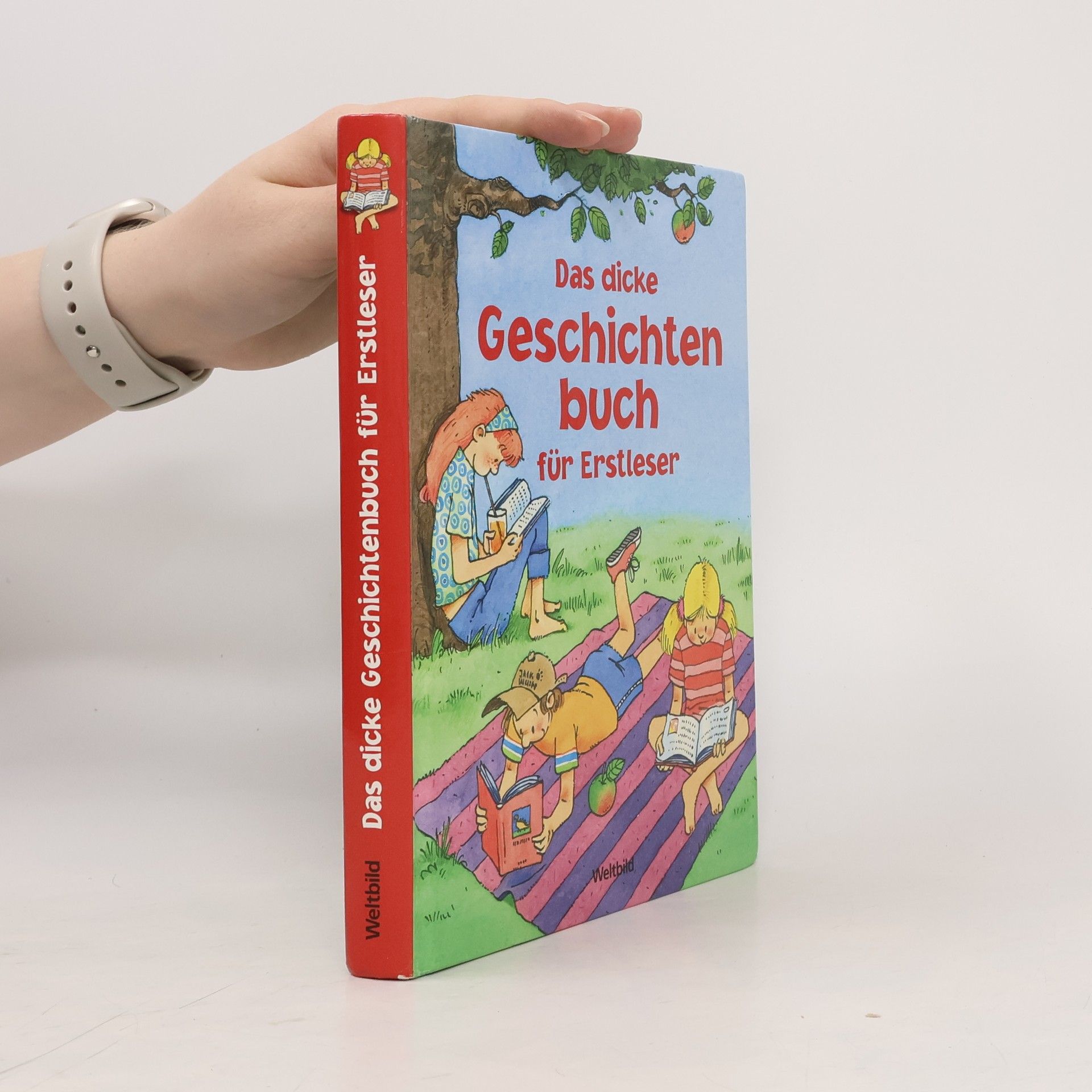 Autorenkollektiv Das dicke Geschichtenbuch für Erstleser