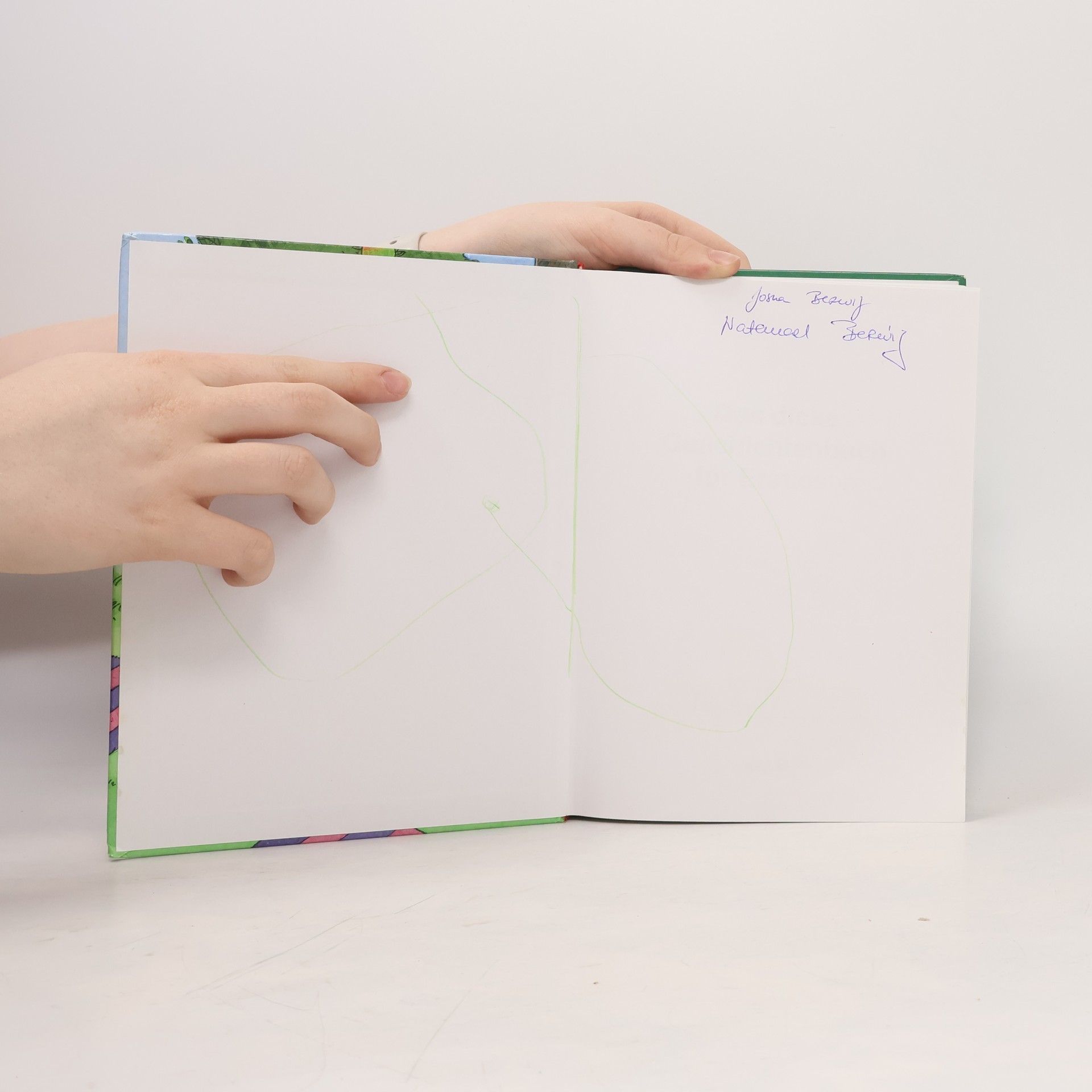 Das dicke Geschichtenbuch für Erstleser