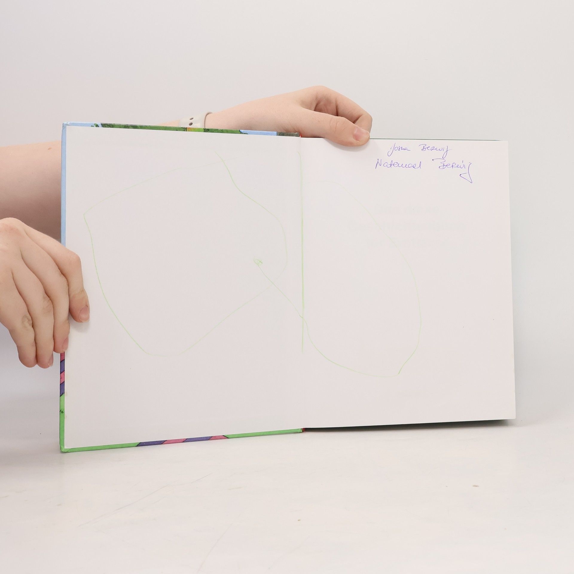 Das dicke Geschichtenbuch für Erstleser