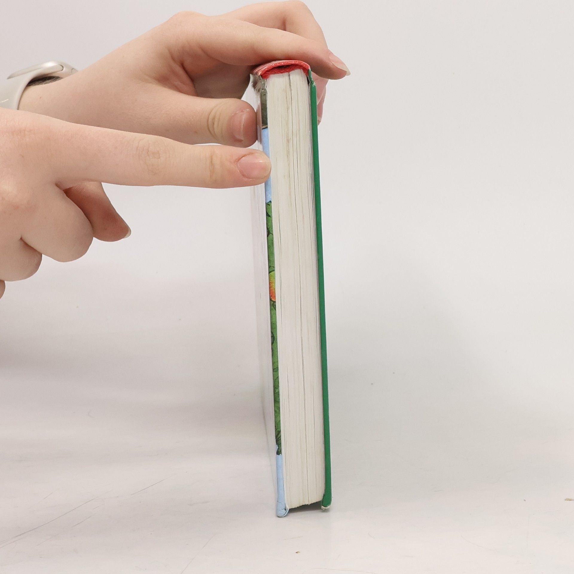 Das dicke Geschichtenbuch für Erstleser