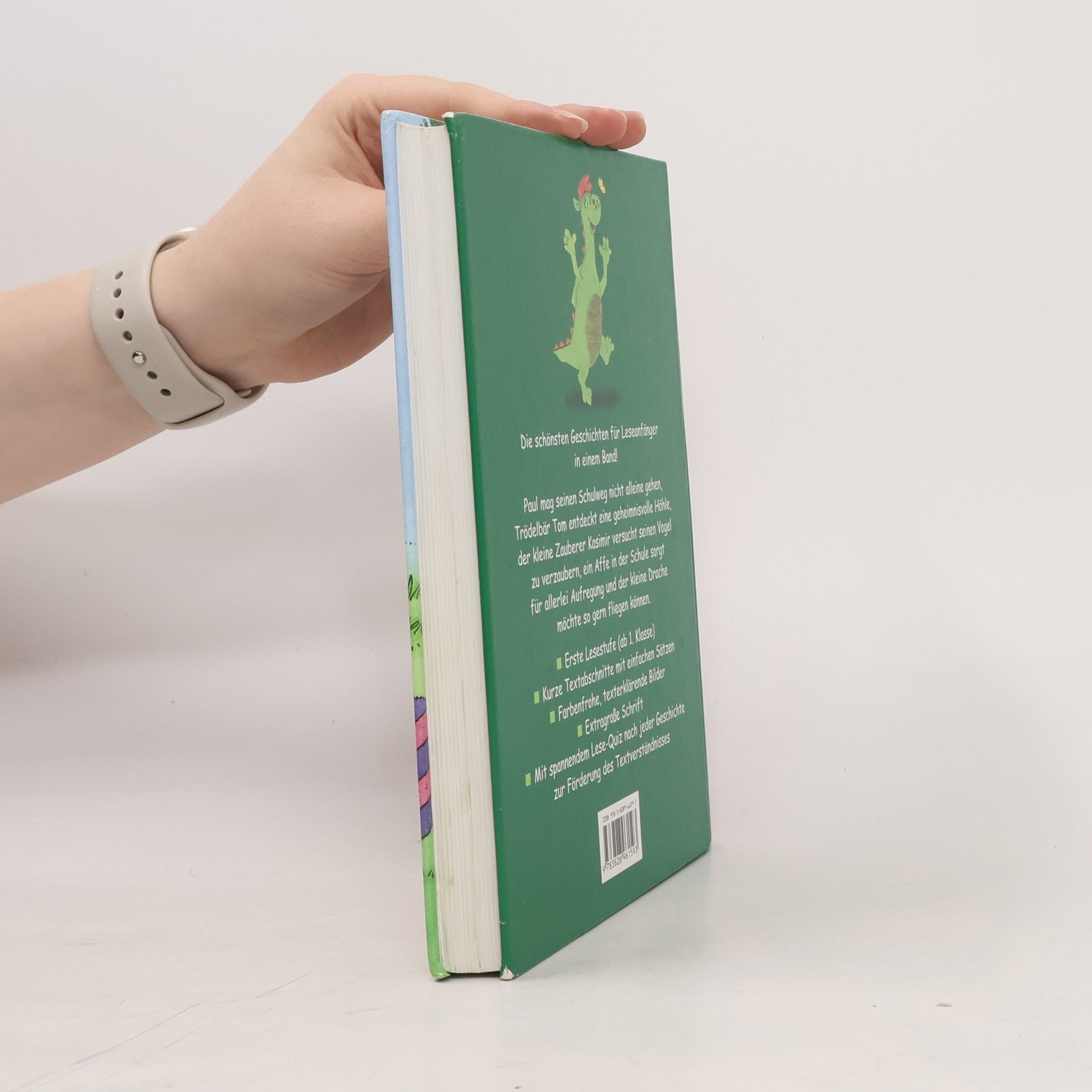 Das dicke Geschichtenbuch für Erstleser
