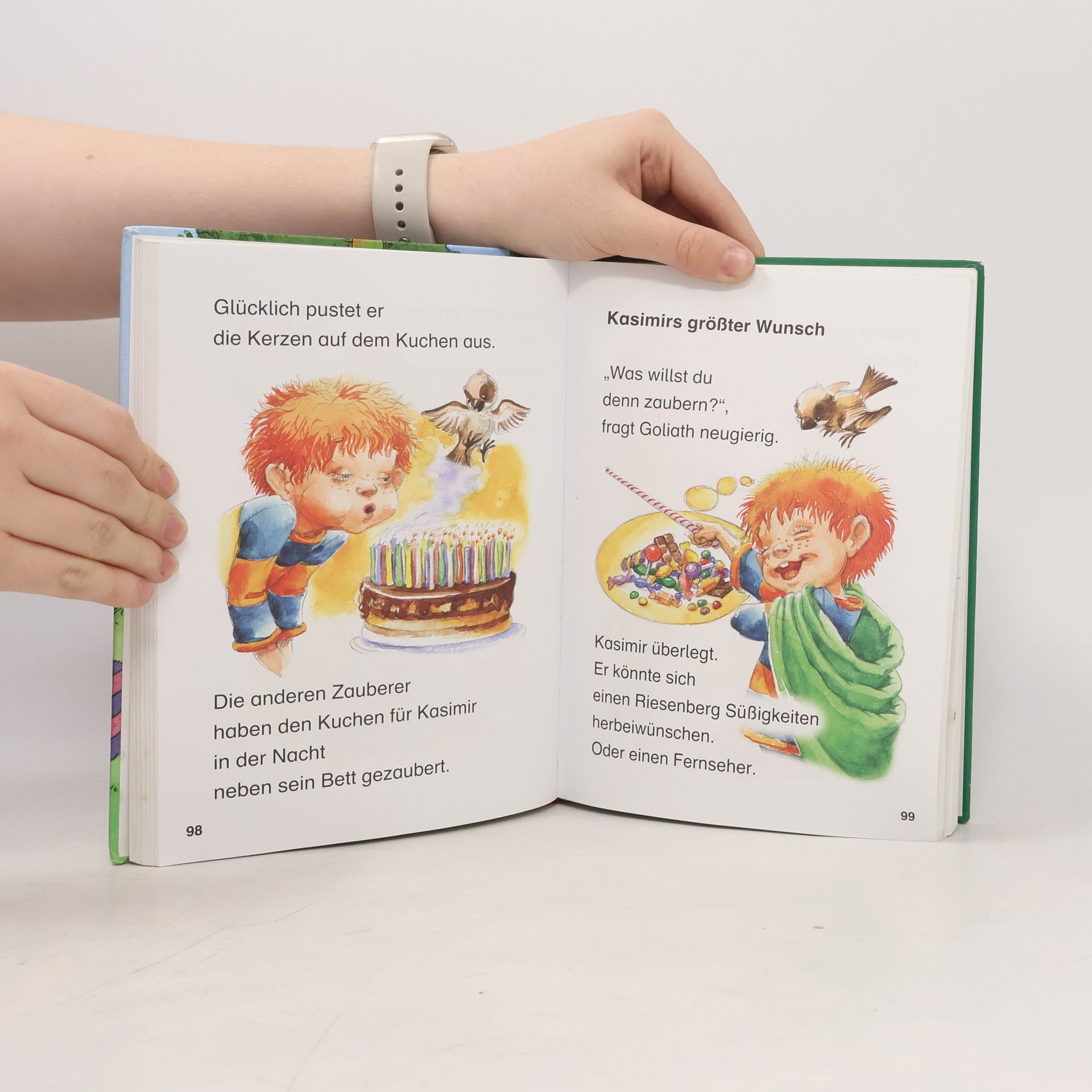 Das dicke Geschichtenbuch für Erstleser