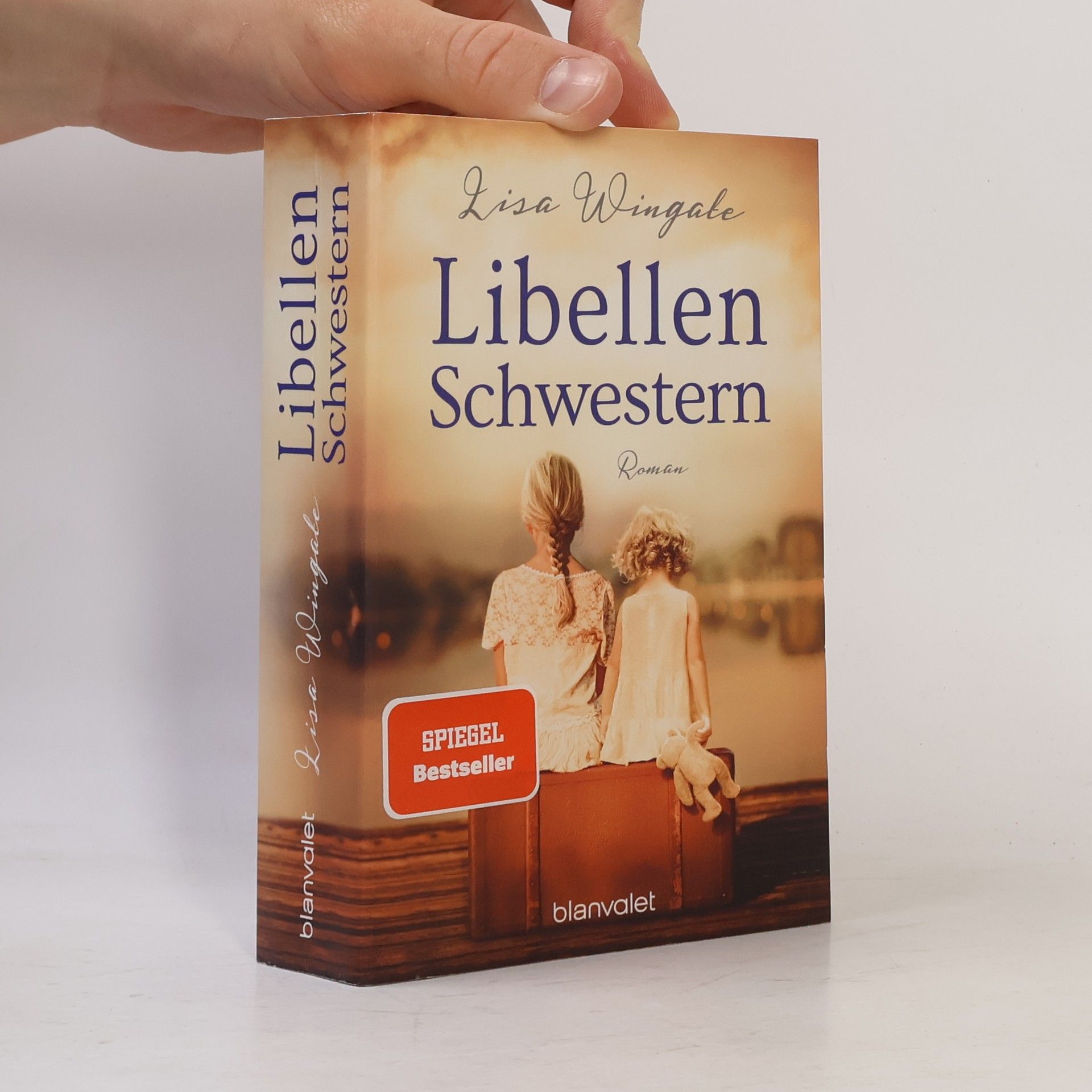 Lisa Wingate Libellenschwestern