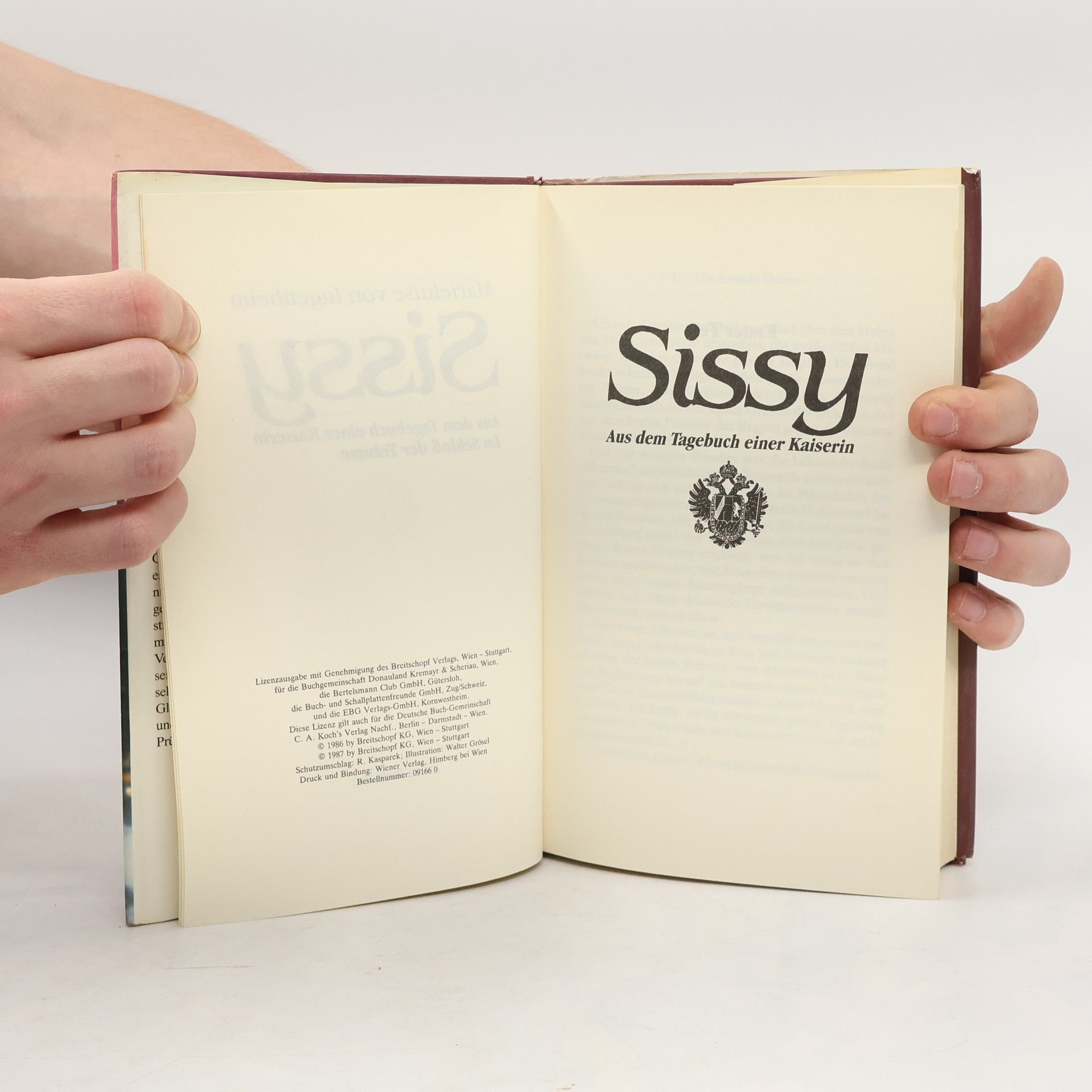 Maireluise von Ingenheim Sissy. Aus dem Tagebuch einer Kaiserin. Im Schloss der Träume